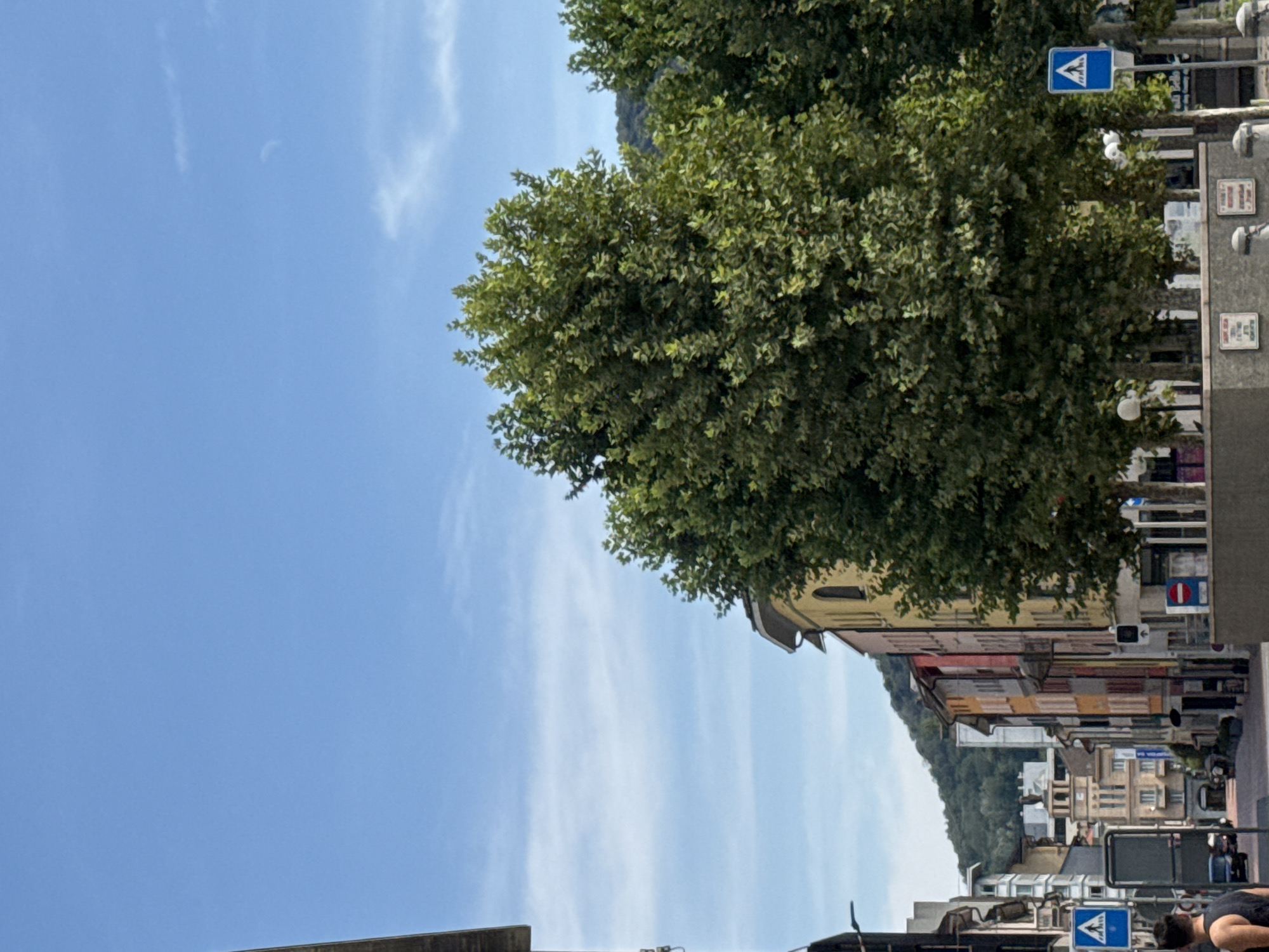 The image shows a street scene in Chiasso, Switzerland, under a clear blue sky with scattered white clouds. In the foreground, a person with dark hair, wearing a black tank top, is partially visible on the left side, facing away from the camera. Behind them, a street with parked cars and buildings lining both sides stretches into the distance. The buildings are of varying heights and architectural styles, many featuring colorful facades. Large, leafy green trees are prominently displayed in the middle ground, obscuring parts of the buildings and the road. Traffic signs, including a pedestrian crossing sign, are visible along the street. A gentle green hillside with trees forms the backdrop to the urban landscape.