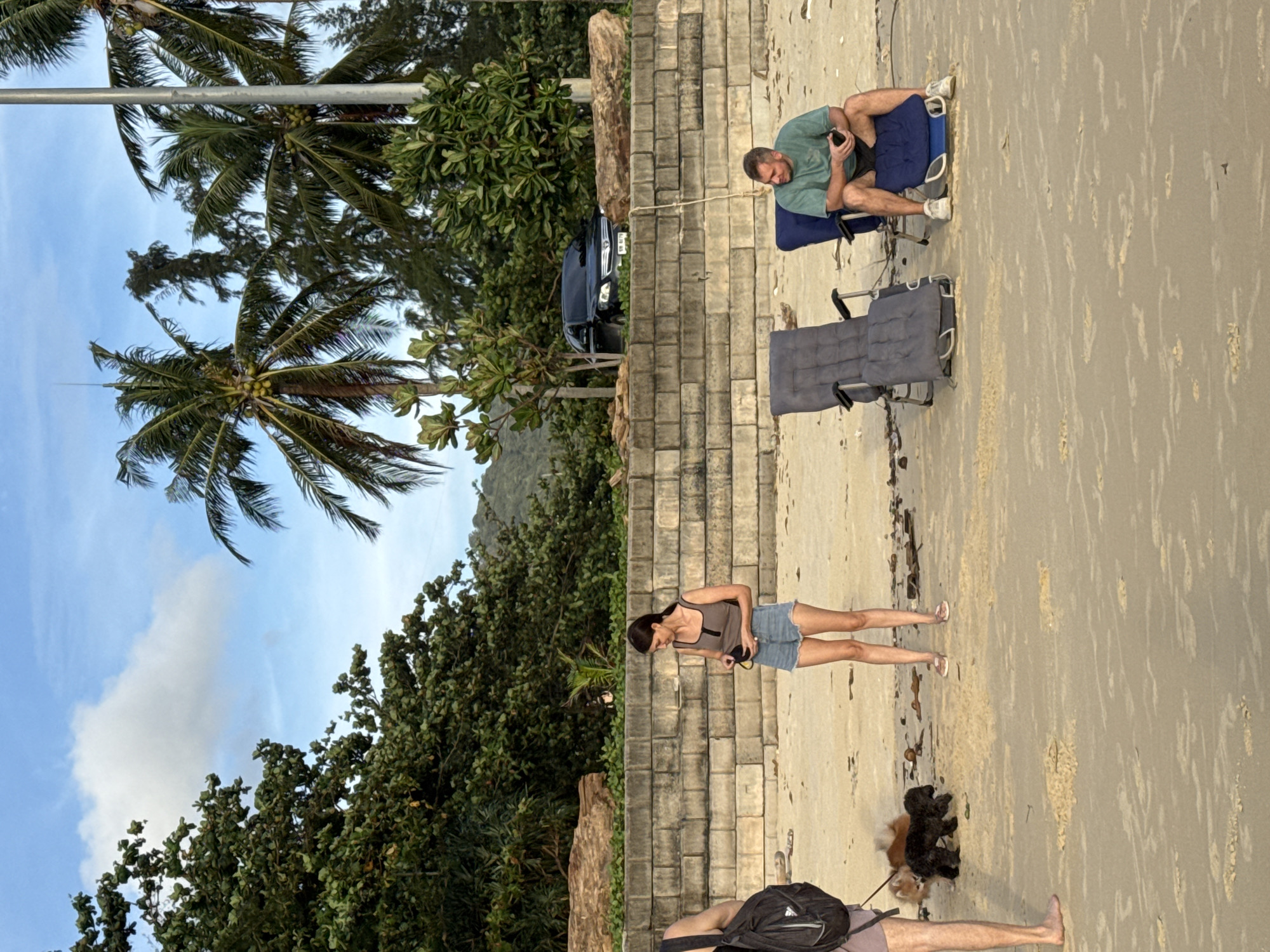 A medium shot captures a beach scene in Karon, Thailand, with several people and dogs present. In the foreground, the sandy beach stretches towards the water, with gentle waves suggested by ripples in the sand. To the left, a person wearing a backpack and shorts stands facing away from the camera. Two dogs, one dark and one lighter colored, are on the sand near this person.
Further into the scene, a woman in a tank top and denim shorts stands looking down at her hands. Beside her, two beach chairs are set up. One chair is occupied by a man wearing a green t-shirt and shorts, who is looking to his left while holding a phone. The other chair is empty.
In the background, a low stone wall runs horizontally across the image. Behind the wall, lush green trees and palm trees create a tropical backdrop. A dark-colored car is parked among the trees, and a large log rests on the ground near the wall. The sky above is partly cloudy, with a mix of blue and white. The overall impression is a relaxed beach day in a tropical setting.