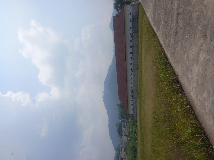 The image depicts a rural-urban fringe scene in the city of Mekarjaya, Indonesia, under a bright sky with scattered white cumulus clouds. A grey concrete path diagonally traverses the lower right foreground, bordered on its left by a field of tall, green and light-brown crops, likely rice. In the midground, a long, single-story building with a red-tiled hip roof and light-colored walls stands parallel to the viewer, situated behind a low concrete fence. The building features multiple evenly spaced, dark rectangular openings along its length. To the left of this building, a cluster of residential houses, including one structure with a small green dome, is visible on a gentle slope. A large, green mountain range dominates the distant background. A small, dark, kite-like object is discernible in the upper right portion of the sky, with faint dark specks also present in the upper left. No people or specific actions are visible.