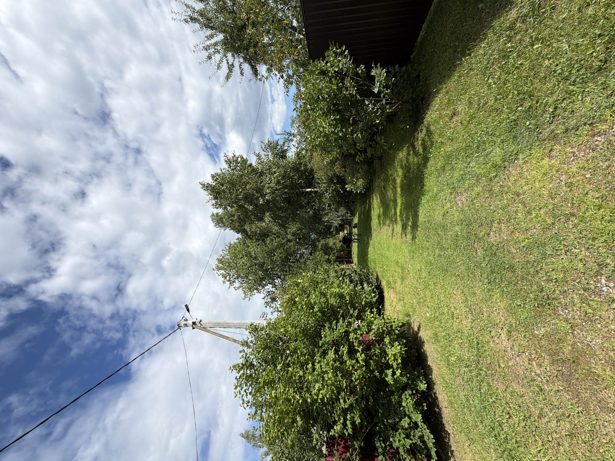 This is a medium-shot, eye-level, wide-angle photograph of a grassy pathway in the village of Nerudnik SNT, Russia. The pathway is bordered on both sides by lush green bushes and trees. A utility pole with wires stretches across the sky. In the distance, a person is walking with a dog, and there are fences on either side of the property. The sky is blue with fluffy white clouds. The overall scene is one of a peaceful, rural backyard on a sunny day.