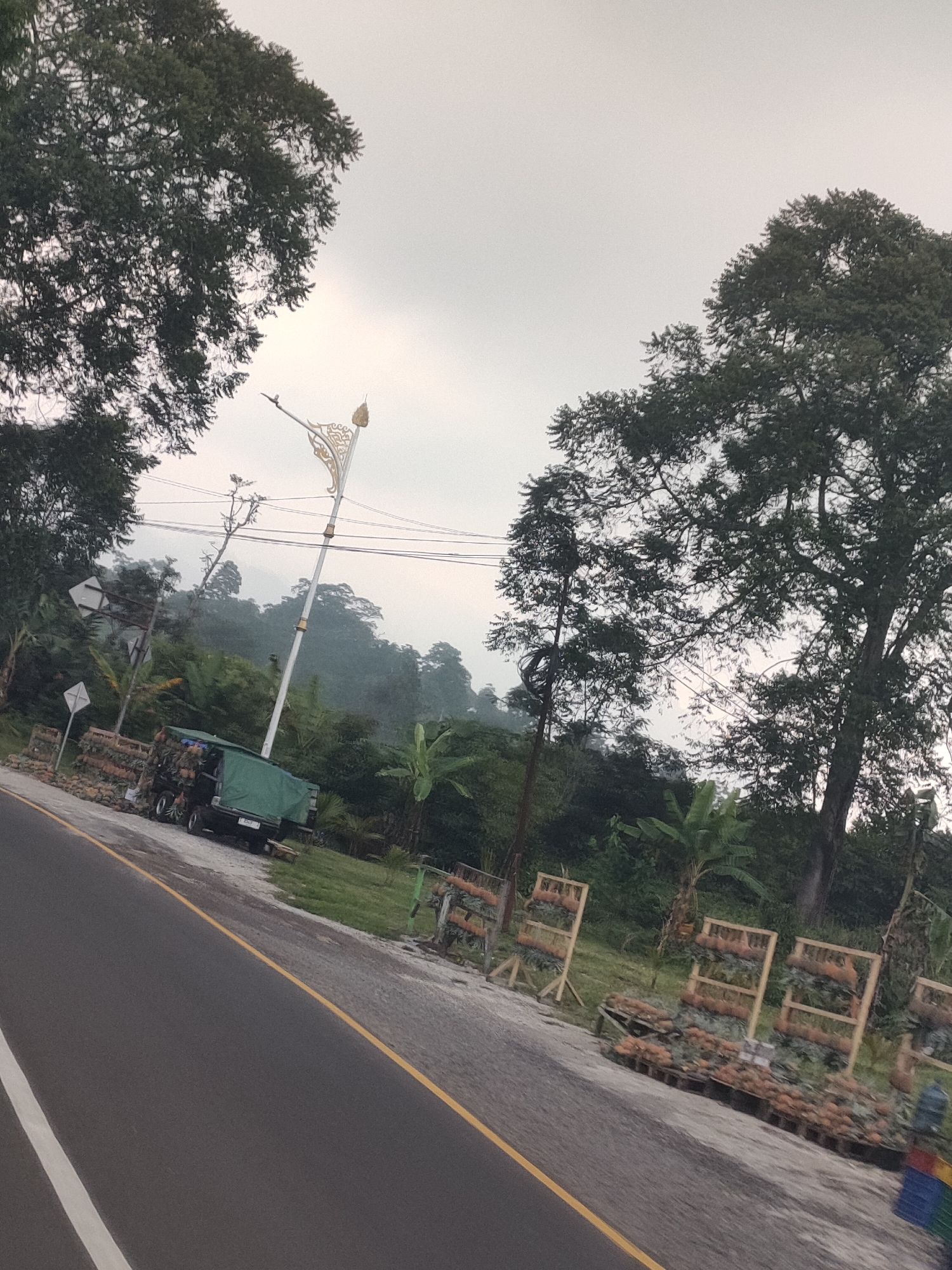The image depicts a roadside scene in Subang, Indonesia, on an overcast day. A paved road with yellow and white markings runs diagonally through the foreground. To the right of the road, a variety of plants, possibly pineapples, are displayed on wooden racks and in pots, suggesting a roadside market or agricultural display. A green-covered truck is parked on the side of the road, likely used for transporting goods. In the background, lush green hills are visible, covered in dense vegetation and trees, indicative of a tropical environment. A decorative lamppost stands near the roadside, adding an element of local infrastructure. The overall atmosphere is natural and somewhat rural, with a focus on agricultural produce and the surrounding landscape.