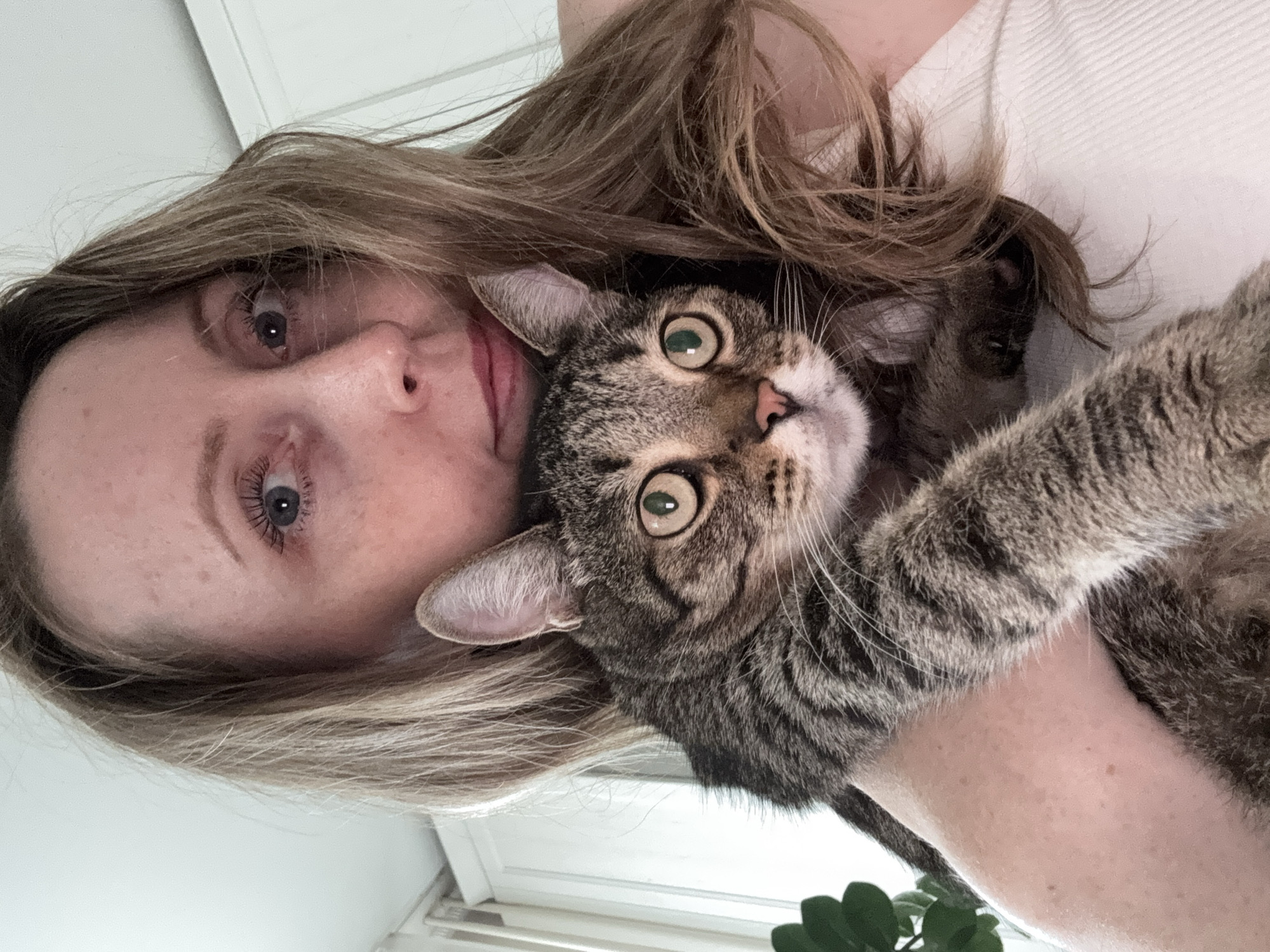 A woman with long blonde hair holds a tabby cat in her arms, looking at the camera. The cat is looking directly at the camera with wide green eyes. The background is a white wall with vertical blinds. This image does not contain any information about the city of Chaikovsky, Russia.