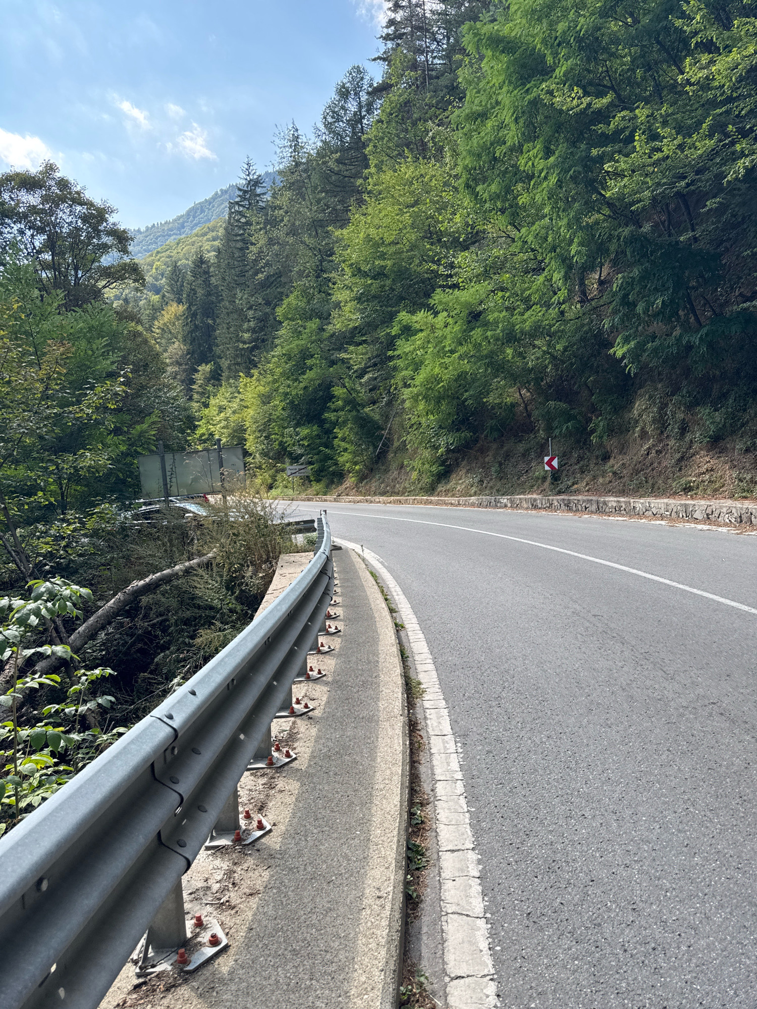 The image depicts a winding asphalt road in a mountainous, forested area, likely near Rila Monastery in Bulgaria. A metal guardrail runs along the left side of the road, separating it from a steep embankment. On the embankment, lush green trees and vegetation dominate the landscape, with a glimpse of a partially obscured light-colored car in a ditch, suggesting a recent accident. A fallen tree trunk lies across the embankment near the car. The road has a white dividing line. A directional sign indicating a sharp bend to the left is visible further down the road. The sky is partly cloudy, and the overall scene suggests an outdoor, natural environment with evidence of human activity in the form of the road and guardrail.