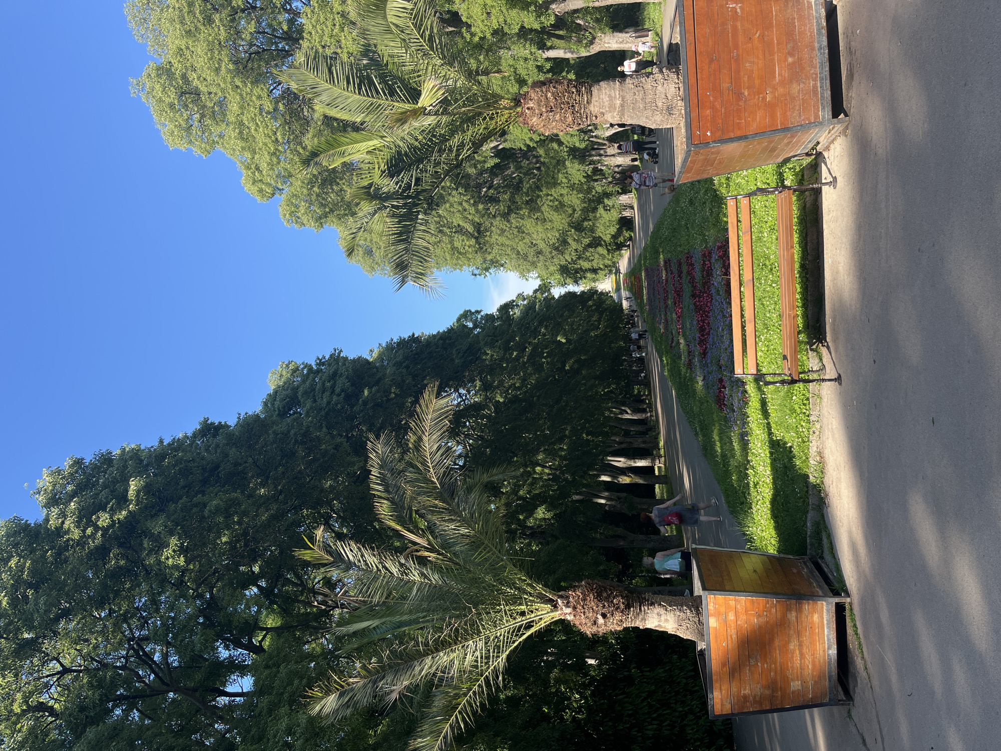 This is a photograph of a wide, tree-lined pathway in a park. The pathway is bordered on both sides by tall, mature trees with dense green foliage, creating a canopy overhead. In the foreground, on the left and right sides of the pathway, are large wooden planters containing palm trees. A wooden park bench sits on the path in front of a long, narrow flowerbed planted with rows of red and purple flowers.
In the middle ground, several people are walking along the pathway. Two women are walking away from the camera on the left side of the path, and a woman with a child is walking towards the camera on the right side. Further down the path, more people are visible walking in both directions, some of whom appear to be on bicycles. The sky is clear and blue.
This scene is located in the Sea Garden (Morska Gradina) in Varna, Bulgaria, a large urban park that runs along the coast. The park is known for its extensive tree planting, formal flowerbeds, and pathways that are popular with both locals and tourists. The presence of palm trees suggests a mild climate, consistent with Varna's location on the Black Sea coast.
