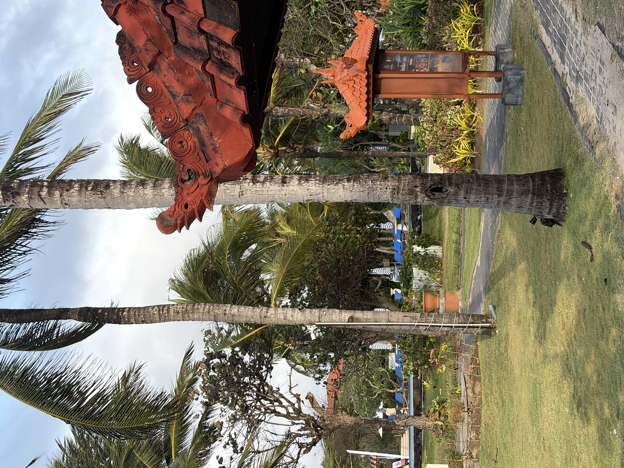 The image captures a sunlit outdoor scene, likely at a resort in Kuta Selatan, Indonesia, characterized by lush tropical vegetation and architectural elements. In the foreground, a neatly mowed green lawn slopes gently. To the right, a pathway with a patterned stone surface is visible, leading towards a tall, ornate wooden signpost with a traditional Balinese-style roof, displaying information about "Indian Cuisine." Two palm trees stand prominently in the mid-ground, their textured trunks and fronds reaching towards a cloudy sky. The red-tiled roof of a building, adorned with decorative carvings resembling a dragon's head, juts into the frame from the upper right.
In the background, the scene unfolds to reveal a swimming pool area. Several bright blue lounge chairs are arranged around the pool, with some unoccupied. Beyond the pool, more palm trees and other tropical foliage create a dense, green backdrop, hinting at the tropical climate. A single person, wearing a light-colored shirt and shorts, walks away from the camera near the pool area. The overall impression is one of a serene and well-maintained tropical vacation destination.