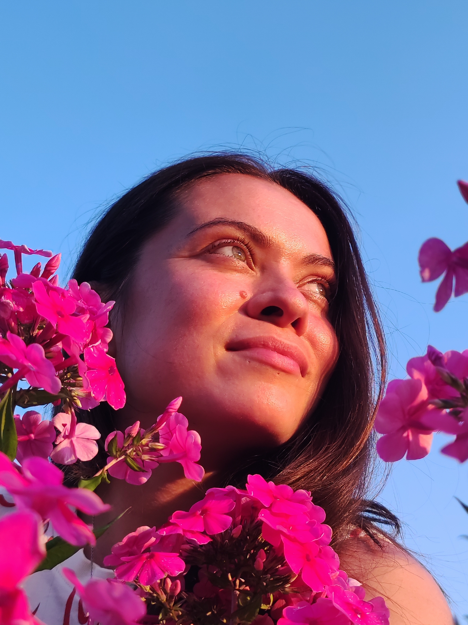 An outdoor, low-angle, medium shot shows a woman from the chest up, framed by bright pink phlox flowers against a clear blue sky. Her head is tilted upwards and to her right, her eyes looking up. Sunlight illuminates her face, creating a warm glow on her skin and highlighting a small mole on her cheek. Her dark hair is visible around her face and shoulders. The background is a solid expanse of bright blue sky, suggesting an outdoor setting during the daytime. The specific location within the city of Фоки, Russia, cannot be determined from the visual information provided in the image.
