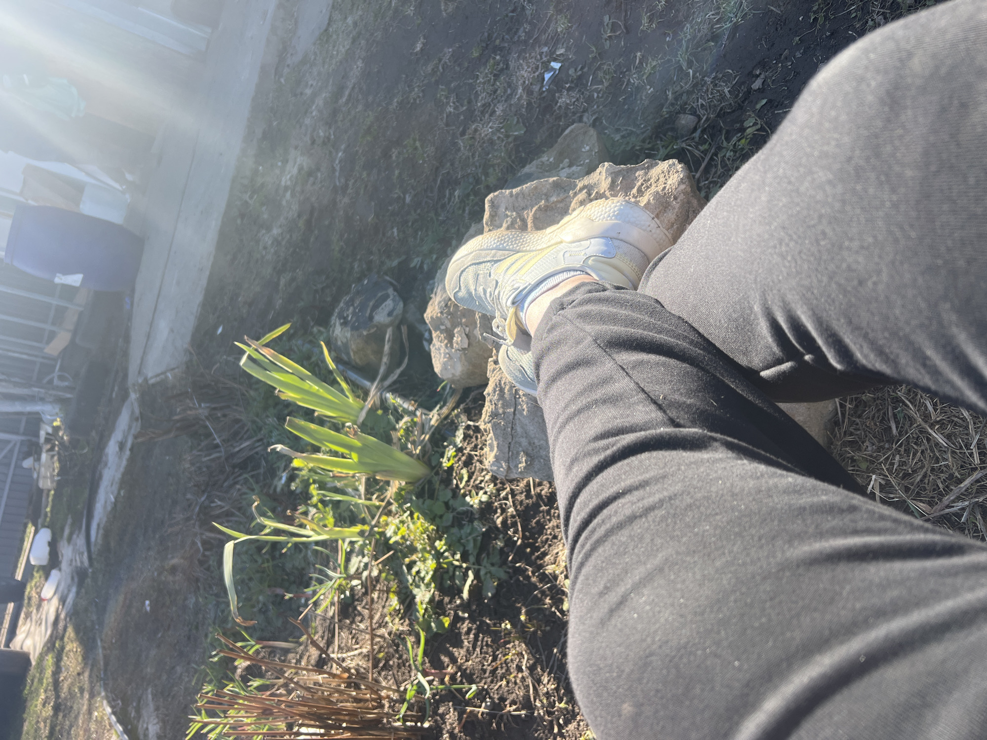 The image shows a person wearing black pants and a white and light blue sneaker, resting their foot on a light-colored rock in an outdoor environment. The ground around the rock is covered in dirt, grass, and small plants, some of which are green and others brown. In the background, there's a glimpse of a building and a chair, obscured by bright sunlight. The location is described as the city of Chaikovsky, Russia, based on previous context. The scene appears to be a casual outdoor setting.