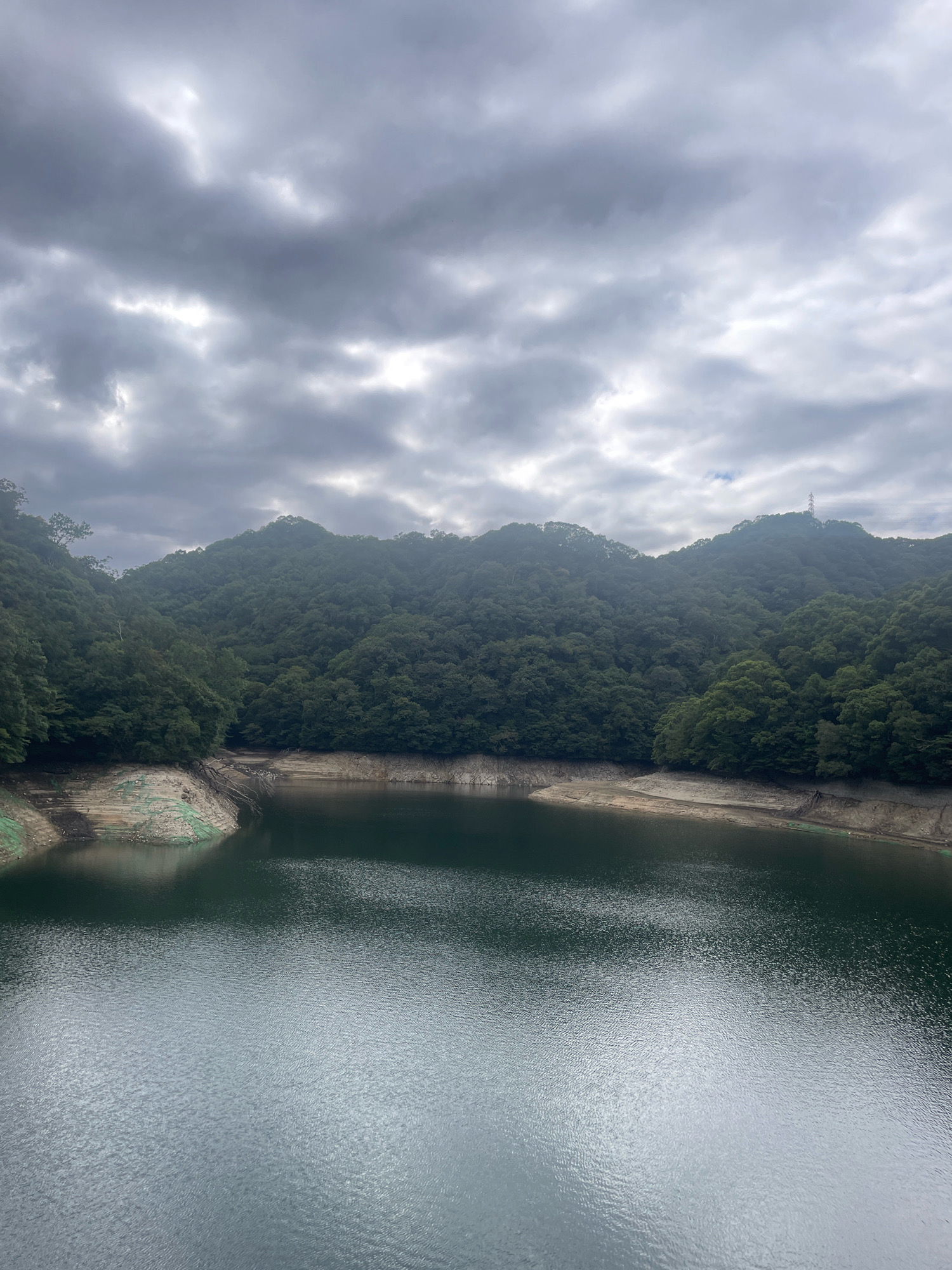 A wide shot captures a reservoir surrounded by lush, green, tree-covered hills under a cloudy sky. The water in the foreground is dark and rippled, reflecting the overcast sky. The shoreline is visible, with exposed, dry earth and some patches of green growth. The hills rise steeply from the water's edge, densely packed with trees, creating a uniform green carpet across the landscape. In the distance, on the crest of a hill, a tall, lattice-like tower, possibly a communication tower, is visible. The overall mood is serene and natural, with a hint of somberness due to the cloudy weather. This scene is likely the Arima Dam in Kobe, Japan, known for its picturesque setting within a mountainous region. No people or man-made structures beyond the tower are immediately apparent.