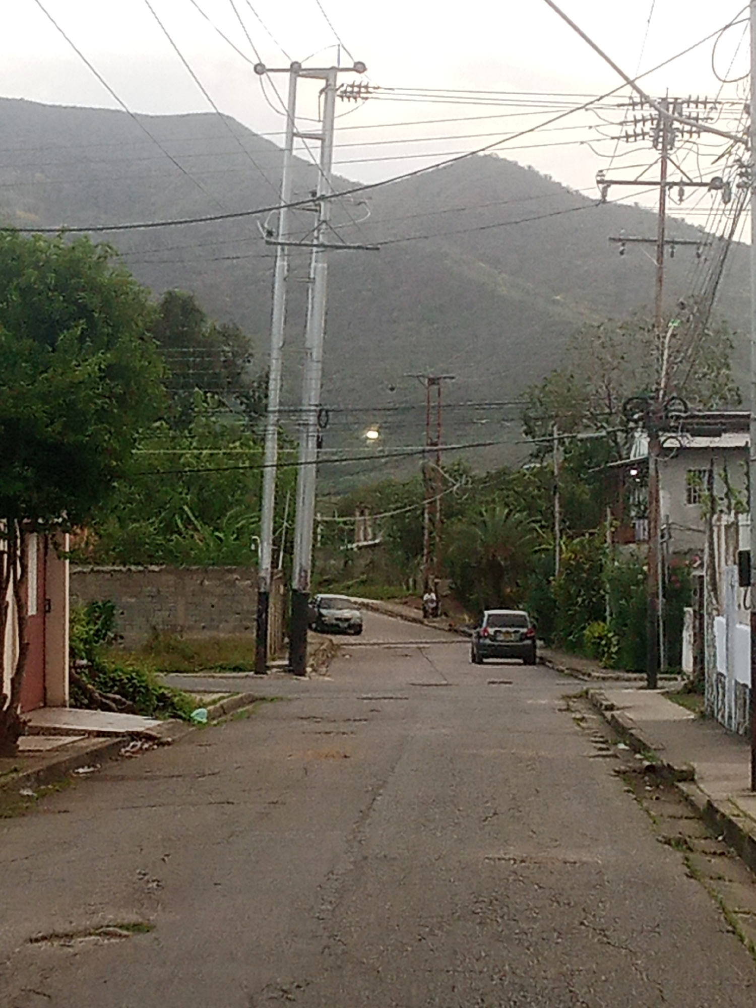 The image depicts a street scene in Santa Ana, Venezuela. The road surface is asphalt, showing signs of wear with cracks and potholes. On the left side of the street, there is a low concrete wall, partially covered by vegetation. Further to the left, a building with a light-colored facade and a pinkish-brown door is visible. A large green tree stands near this building.
On the right side of the street, a sidewalk runs alongside a building with a white facade and windows. A wooden utility pole with numerous wires is positioned near this building. Further down the street, another building with a white facade and visible windows is present.
In the middle ground, two vehicles are present. A silver car is parked or driving on the right side of the road, and a dark-colored SUV is further up the street on the left side. There is a single pedestrian walking on the left side of the road near the dark SUV.
The background is dominated by a large, tree-covered mountain range under an overcast sky. Multiple utility poles with extensive wiring are visible throughout the scene, indicating the presence of electrical infrastructure. The overall impression is of a residential area within a mountainous landscape.