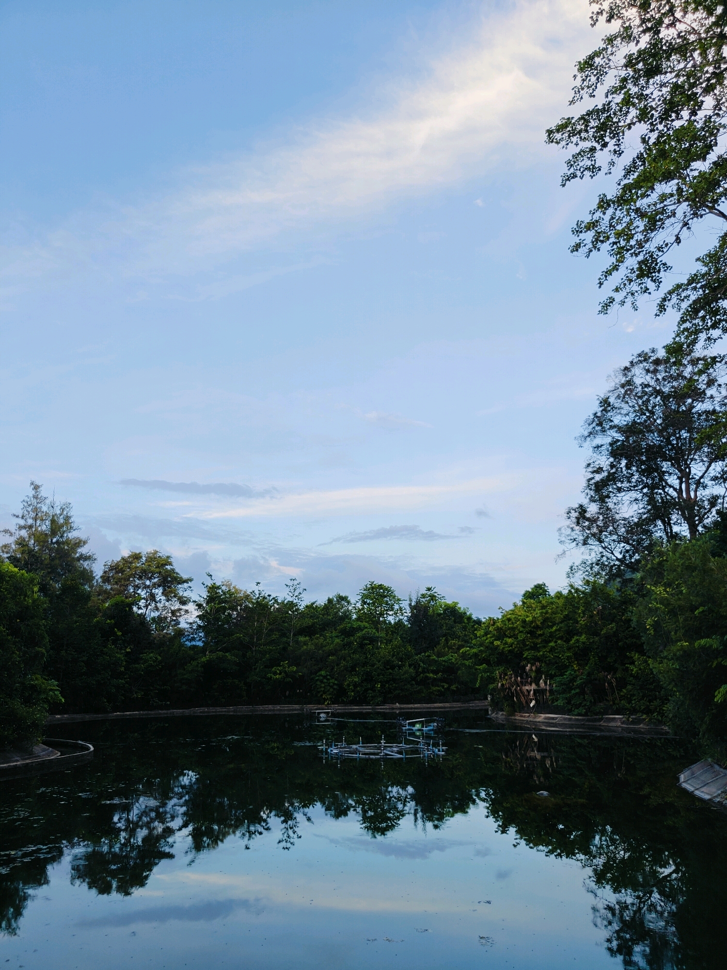 A serene, overcast day is captured in a photograph overlooking a still body of water surrounded by dense, lush green foliage. The water reflects the sky and trees with remarkable clarity. In the distance, a cluster of trees forms a dark, verdant wall, contrasting with the pale blue sky dotted with wispy white clouds. The upper right corner of the image is dominated by the dark silhouette of a large tree with its branches reaching towards the sky. The scene appears to be located in a natural or park-like setting, possibly within the city of Mu Si, Thailand, given the tropical vegetation and atmospheric conditions. There are no people or animals visible in the frame. The water appears to be contained within man-made structures, suggesting it might be a reservoir or pond.