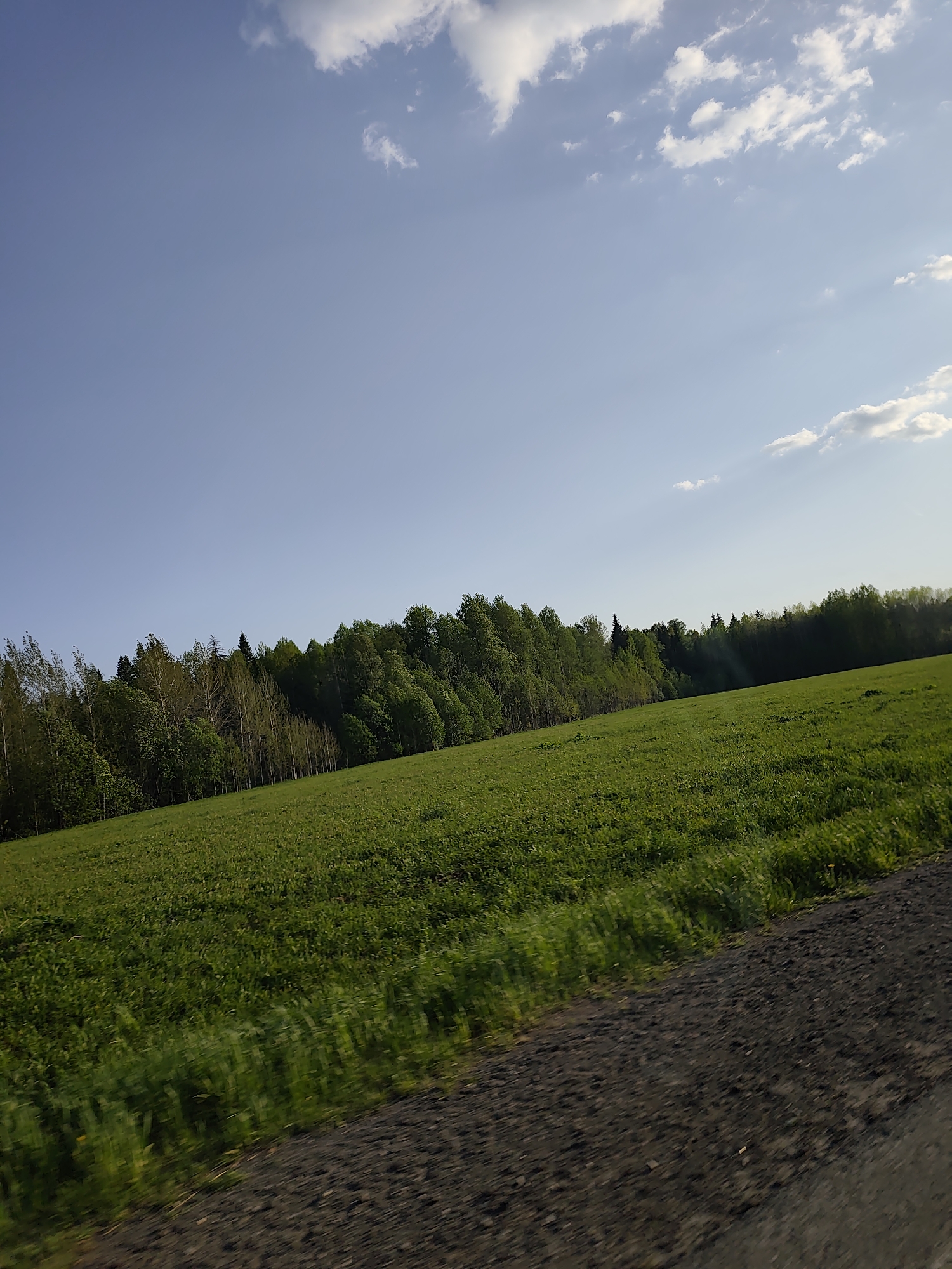 The image depicts a landscape scene in Нижний Пальник, Russia. A green field occupies the lower two-thirds of the frame, sloping upwards towards a line of trees in the middle ground. The trees appear to be a mix of deciduous and coniferous varieties. Above the trees, the sky is light blue with scattered white clouds. A section of rough road or soil is visible in the lower right corner of the image, indicating the ground level from which the picture was taken. There are no people or animals visible in the image. The overall impression is of a rural or semi-rural setting on a bright, sunny day.