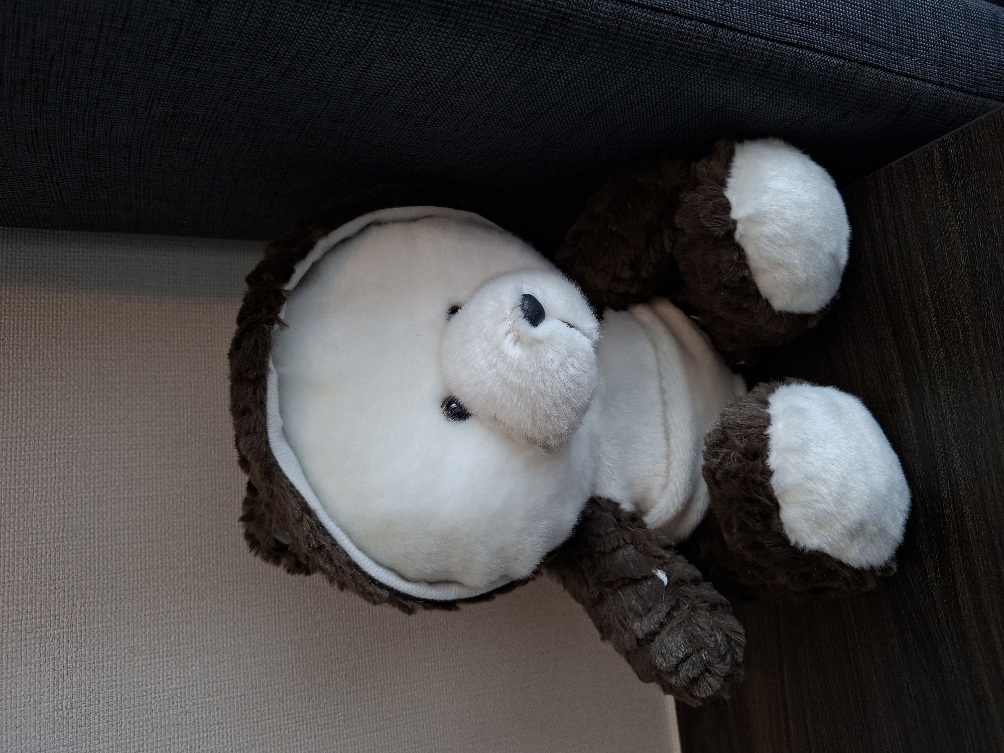 A close-up, eye-level, indoor shot shows a white and brown plush teddy bear sitting on a dark wooden surface. The teddy bear is wearing a brown hood with white trim, resembling a bear costume. The background features a textured grey wall on the left and a dark, textured fabric surface on the right, suggesting it might be a piece of furniture. The lighting is soft, casting subtle shadows. The image does not provide any information about its location in West Jakarta, Indonesia.