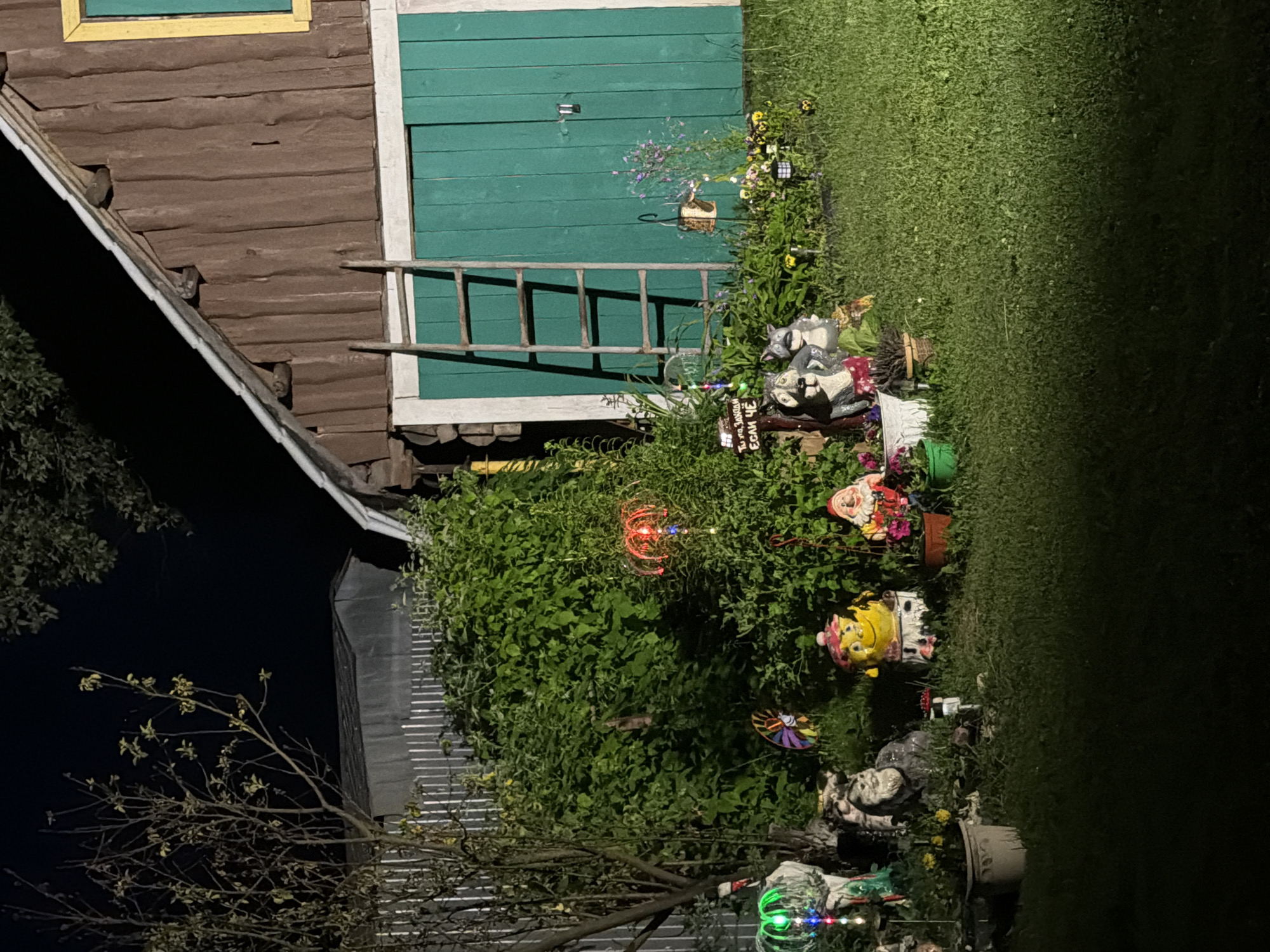 The image depicts a nighttime scene in the city of Krasnyy Mayak, Russia, focusing on a small yard or garden area adjacent to a wooden building with green doors. The building appears to be a shed or garage, constructed with vertical wooden planks. A wooden ladder leans against the building.
The foreground is dominated by a grassy lawn with various decorative elements. These include several garden gnomes, animal figurines (a fox and a raccoon-like creature), and potted plants. Some of the figurines are illuminated by colorful LED lights, creating a festive atmosphere. One gnome is yellow and wears a pink hat. Another gnome has a red hat and beard and is wearing a red jacket. A sign with Russian text is visible near the animal figurines. Small solar-powered garden lights are also scattered across the lawn.
Behind the decorations and lawn, a dense green bush is prominent, obscuring the lower part of the building. A bare-branched tree stands to the left of the bush, with a metal fence behind it and a galvanized shed-like structure further back. The overall impression is of a decorated outdoor space, possibly a yard, at night.