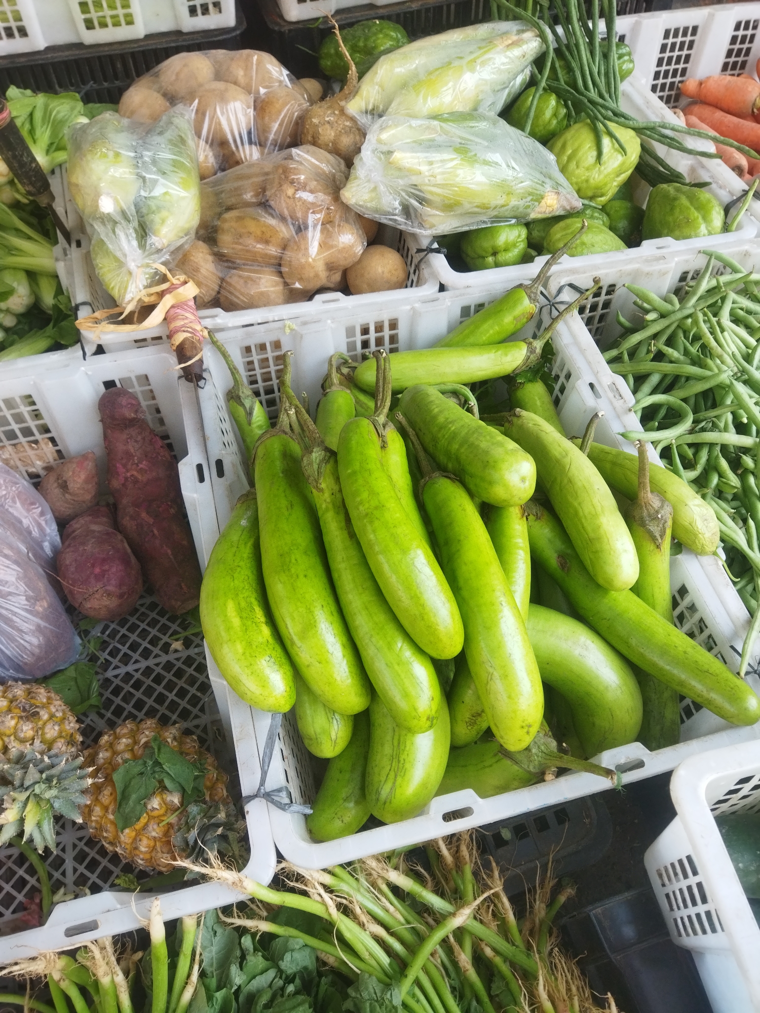 The image displays a stall at a market in Wonogiri, Indonesia, filled with a variety of fresh produce. In white plastic crates, the stall is organized with different vegetables. Prominently featured are numerous long, light green eggplants, a large quantity of green beans, and some chaya leaves. Also visible are carrots, cucumbers, and what appear to be potatoes and sweet potatoes in plastic bags. Two whole pineapples with green leafy tops sit in the foreground, alongside bundles of leafy greens and root vegetables with visible roots. The overall scene depicts a typical market environment with an abundance of fresh, healthy produce.