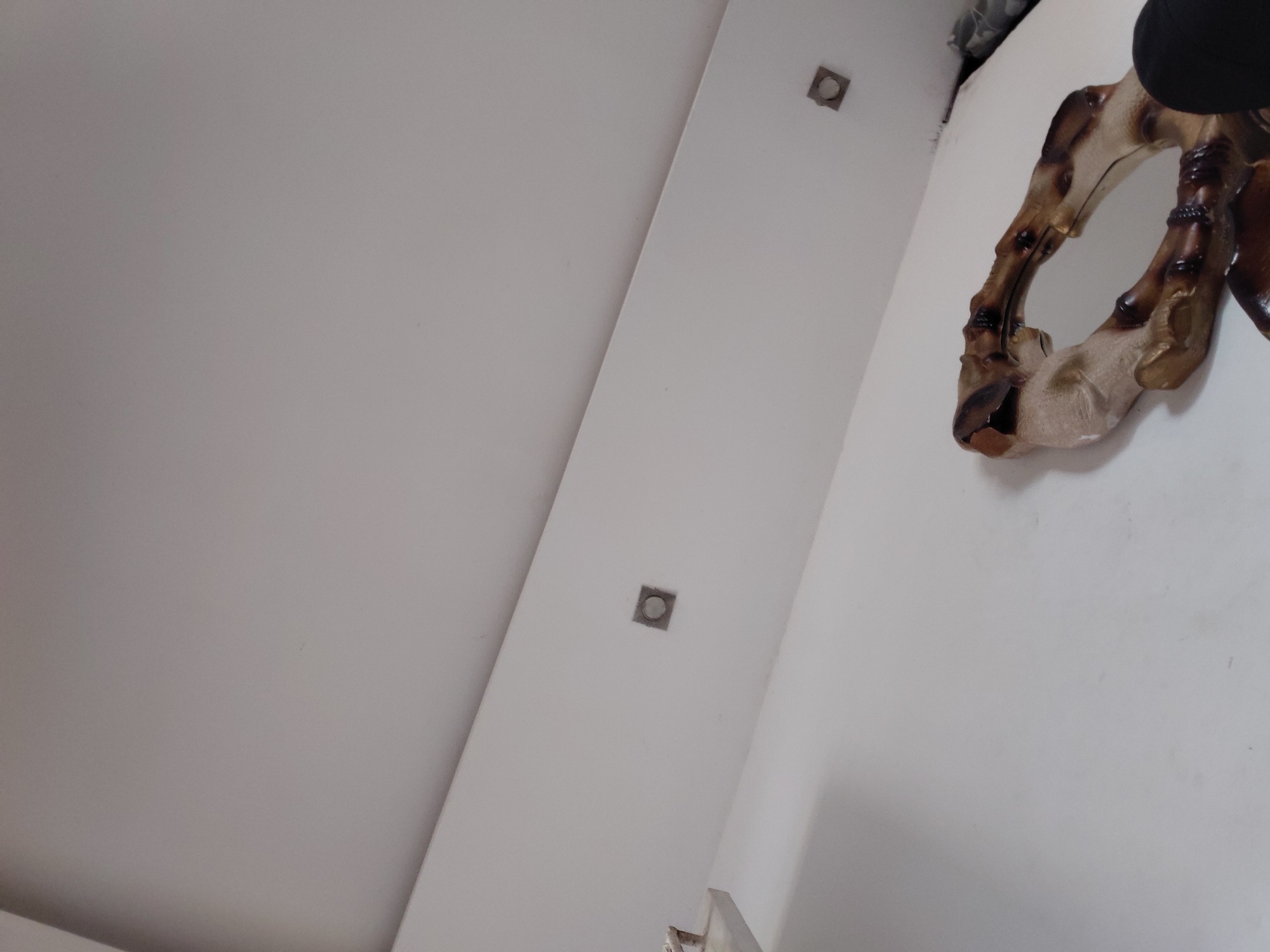 The image captures an interior architectural space, viewed from a low angle looking upwards towards a ceiling and wall. The dominant colors are white and light grey, indicating painted walls and ceiling surfaces. A distinct white architectural beam or recessed ceiling feature runs diagonally across the frame, dividing the upper white ceiling area from the lower white wall.
Two square-shaped recessed light fixtures are visible within this beam. Each fixture features a metallic or grey trim and a circular opening, likely for a bulb, embedded flush with the surface.
On the right side of the image, mounted on a white wall, is a prominent decorative object. This object appears to be a mirror with an intricately carved or molded frame. The frame has an organic, irregular shape and texture, resembling gnarled wood, petrified wood, or possibly a bone-like material. It is characterized by varying shades of brown, tan, and creamy white, with darker, almost burnt-looking accents that emphasize its textured surface and curvilinear design. A reflective surface is visible within the frame, confirming it as a mirror.
No people are present in the image, and no specific activity is occurring. The scene is static, focusing on the architectural details and the decorative element. There is no visible text. The location context for this interior is Santa Ana, Venezuela.
