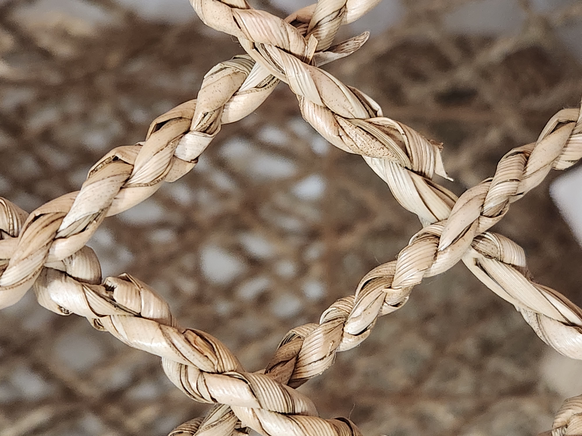 A close-up, shallow depth-of-field photograph captures a woven pattern of dried, natural fiber. The fibers are a pale beige and brown, twisted together to form thick cords that interlace to create diamond shapes. The texture of the fibers is visible, with individual strands showing slight variations in color and thickness. The background is a blurred, neutral brown, suggesting it is out of focus and may be a wall or another textured surface. The lighting is soft and diffused, highlighting the intricate weave and natural material. The image does not contain any identifiable landmarks or elements that would allow for specific location identification within Maitland, United States of America.