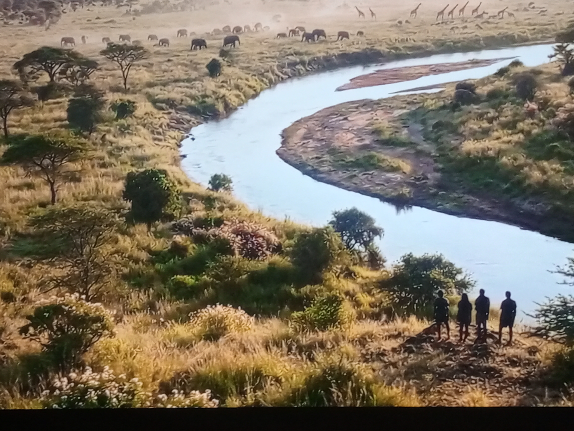 An aerial wide shot captures a tranquil savanna landscape with a winding river snaking through it. The river, a shimmering blue, cuts a path through golden grasses and scattered trees. In the distance, a herd of elephants grazes peacefully, their dark forms contrasting with the muted tones of the savanna. A group of giraffes stands tall, their long necks reaching towards the sky. Closer to the foreground, four silhouetted figures stand on a rise overlooking the river, their backs to the viewer, observing the vast expanse before them. The scene is bathed in the warm light of the sun, casting long shadows and highlighting the textures of the natural environment. The location is Unknown, Unknown, emphasizing the remote and wild nature of the setting.