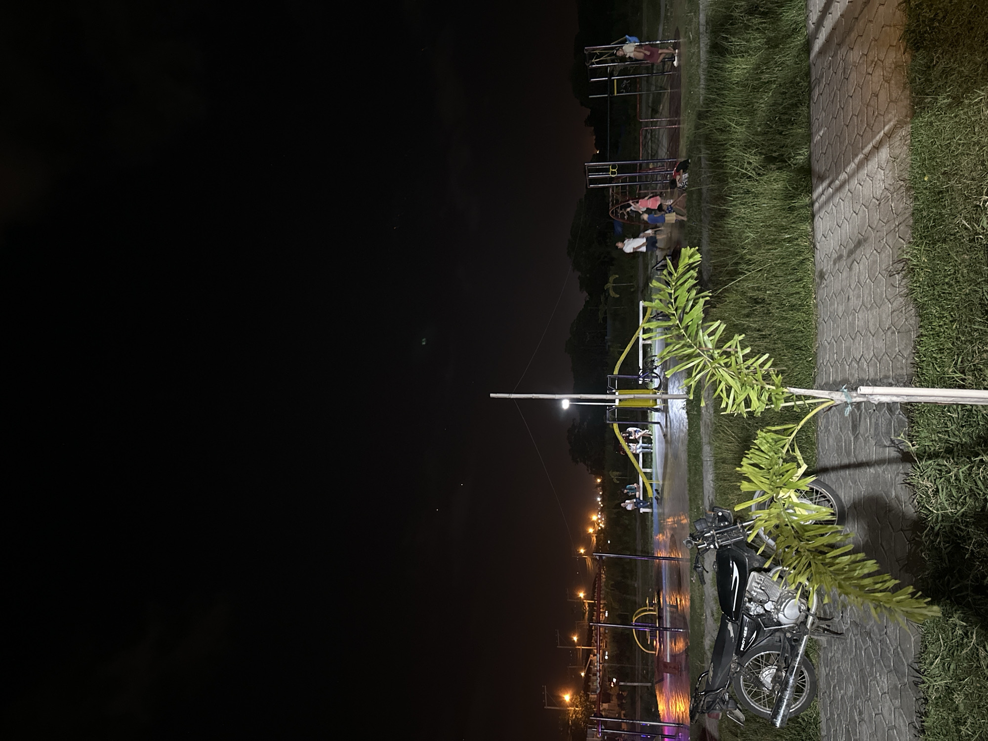 The image depicts a nighttime scene within a public recreational area, specified as a park or playground in Davao City, Philippines. The fore-ground features a black motorcycle with a visible "TROY-125" decal on its side, parked on a paved pathway composed of hexagonal interlocking concrete pavers. A small, leafy plant with multiple green fronds partially obstructs the view of the pathway and the area beyond.
The mid-ground reveals a playground illuminated by a tall central lamppost emitting a white light, as well as other artificial lights. The ground within the playground appears damp, showing reflections of light, indicative of recent precipitation or standing water. Visible playground equipment includes a set of swings with yellow arched supports, multiple climbing frames resembling monkey bars with metal bars, and a yellow slide positioned near a white bench.
Several individuals are present in the playground area. On the white bench, a group of three adults or older teenagers are seated. To the right of the central lamppost, an adult male in a white shirt and dark shorts stands near a climbing structure, observing. Several children are active around the climbing equipment, including one child in a pink dress and another in a light blue shirt. Another adult female in a red top and dark shorts stands further to the right, near an additional climbing frame.
The background presents a dark sky with faint points of light, possibly stars or planets. Below the horizon, a line of illuminated distant structures or streets, characterized by multiple yellow and white artificial lights, suggests a developed urban or suburban landscape. Utility poles and overhead lines are discernible on the left side of the background, connecting to the distant lights. Dark silhouettes of trees and foliage border the park area on the right.