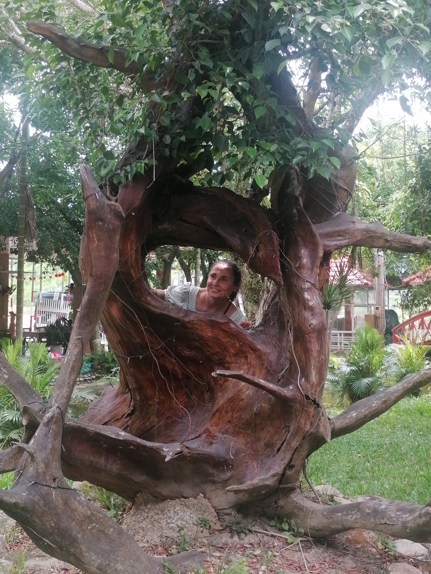 A person with fair skin, identified as a female, is positioned inside a large, hollowed-out tree structure with exposed roots and branches, some of which are adorned with small lights. She is smiling and looking towards the right side of the frame. The tree is located in an outdoor setting with green grass and foliage visible. In the background, a building with a white fence and a red bridge can be observed. The location is the city of Nam Khanh Vinh, Vietnam.