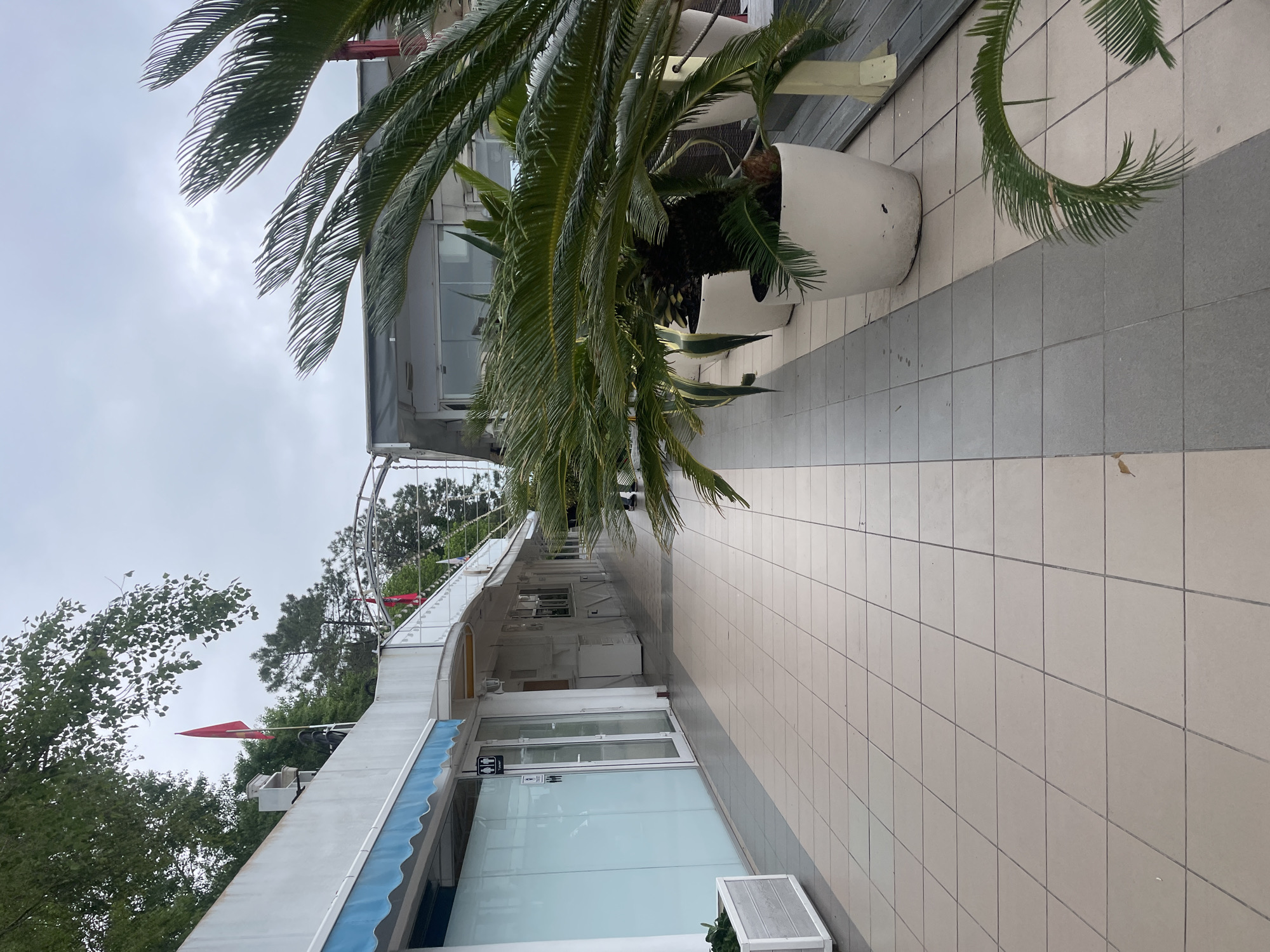 The image depicts an outdoor shopping area in Sochi, Russia. The scene is captured from a ground-level perspective, focusing on a pathway tiled in light beige and grey. Along the path, large white planters hold cycad trees and other greenery, adding a tropical feel to the urban setting. A building with white facades and blue awnings runs parallel to the walkway. Glass-fronted shops with service windows are visible along the building's lower level. In the background, there is an elevated structure with red flags, suggesting an amusement park or recreational area. The sky is overcast, creating a soft, diffused light.