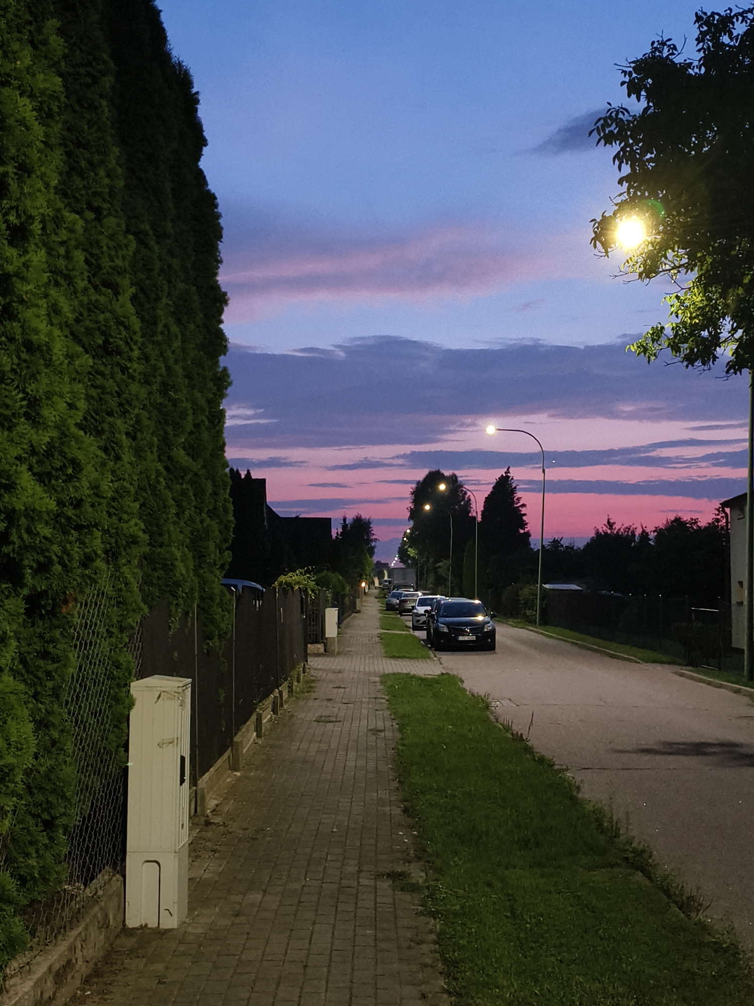 The image depicts a street scene in Tczew, Poland, during twilight. A sidewalk, paved with rectangular stones, runs along the left side of the image, bordered by a dense, tall green hedge and a wire fence. A white utility box is situated on the sidewalk near the hedge. A paved road runs parallel to the sidewalk on the right, with several cars parked along its edge and moving on the road. The sky is a gradient of deep blue at the top, transitioning to shades of pink and purple clouds lower down. Streetlights are illuminated along the road, casting a warm glow. Trees and the roofs of houses are visible in the background, silhouetted against the colorful sky. The overall atmosphere is calm and residential, characteristic of an evening in a suburban or city neighborhood.