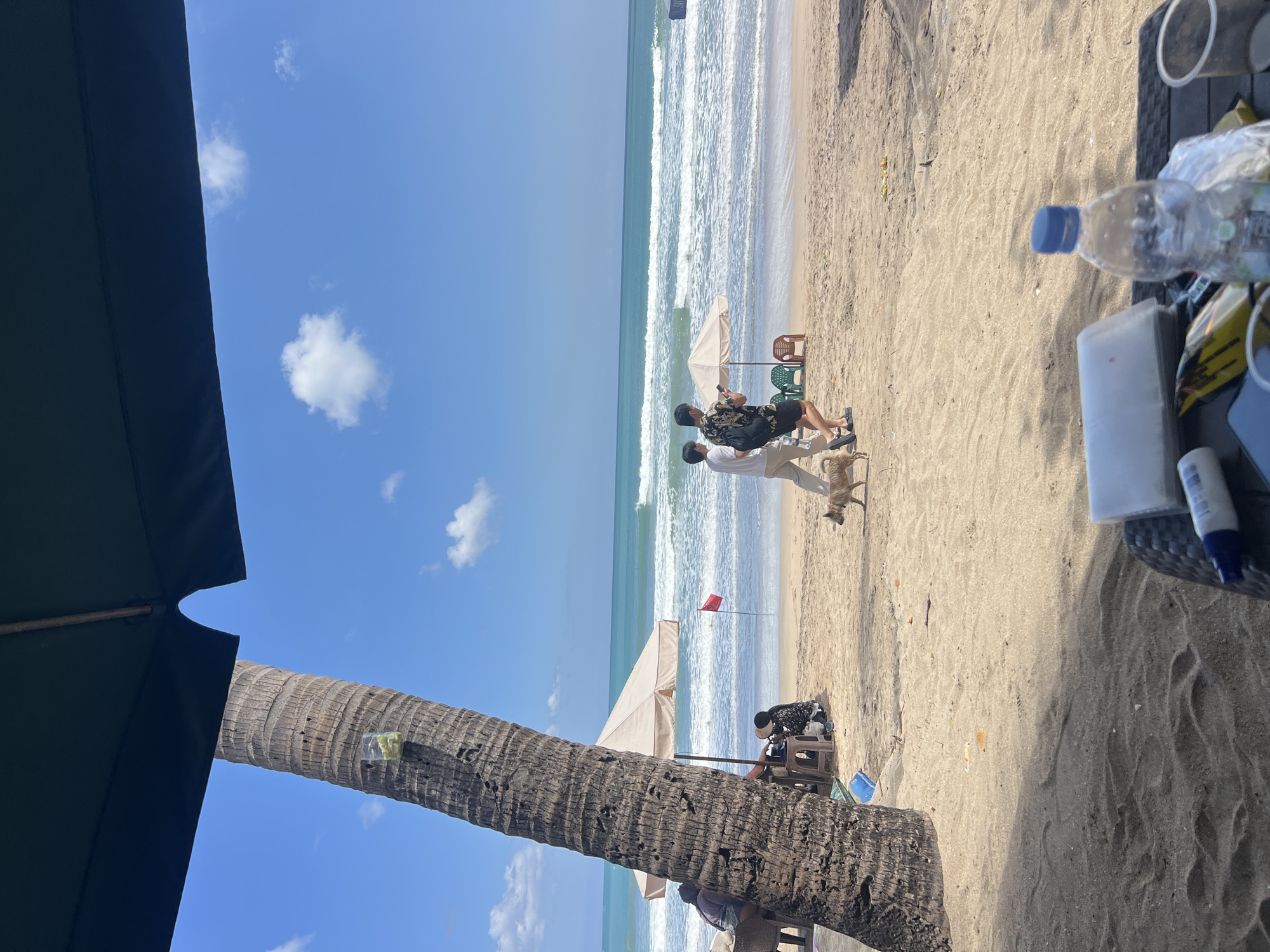 A wide-angle, eye-level shot shows a sandy beach in Kuta, Indonesia, on a clear, sunny day with a bright blue sky and scattered white clouds. The turquoise ocean with white-capped waves extends to the horizon. In the foreground, a portion of a large, dark green beach umbrella shades the viewer. To the left, the trunk of a tall, rough-barked coconut palm tree dominates the frame.
On the beach, under a beige umbrella, two people are seated at a table. To the right of the seated individuals, a small, light brown dog walks towards the left. Further to the right, two young men walk together across the sand. One is wearing a dark patterned short-sleeved shirt and black shorts, carrying a black backpack. The other is wearing a light-colored t-shirt and light-colored pants. A red flag on a pole stands planted in the sand in the middle ground.
The sand is a light golden color with scattered debris, including colorful pieces of plastic and a dry twig. In the far foreground, a woven table holds a clear plastic water bottle with a blue cap, a white rectangular object, and a clear plastic cup. The table is partially covered in sand.