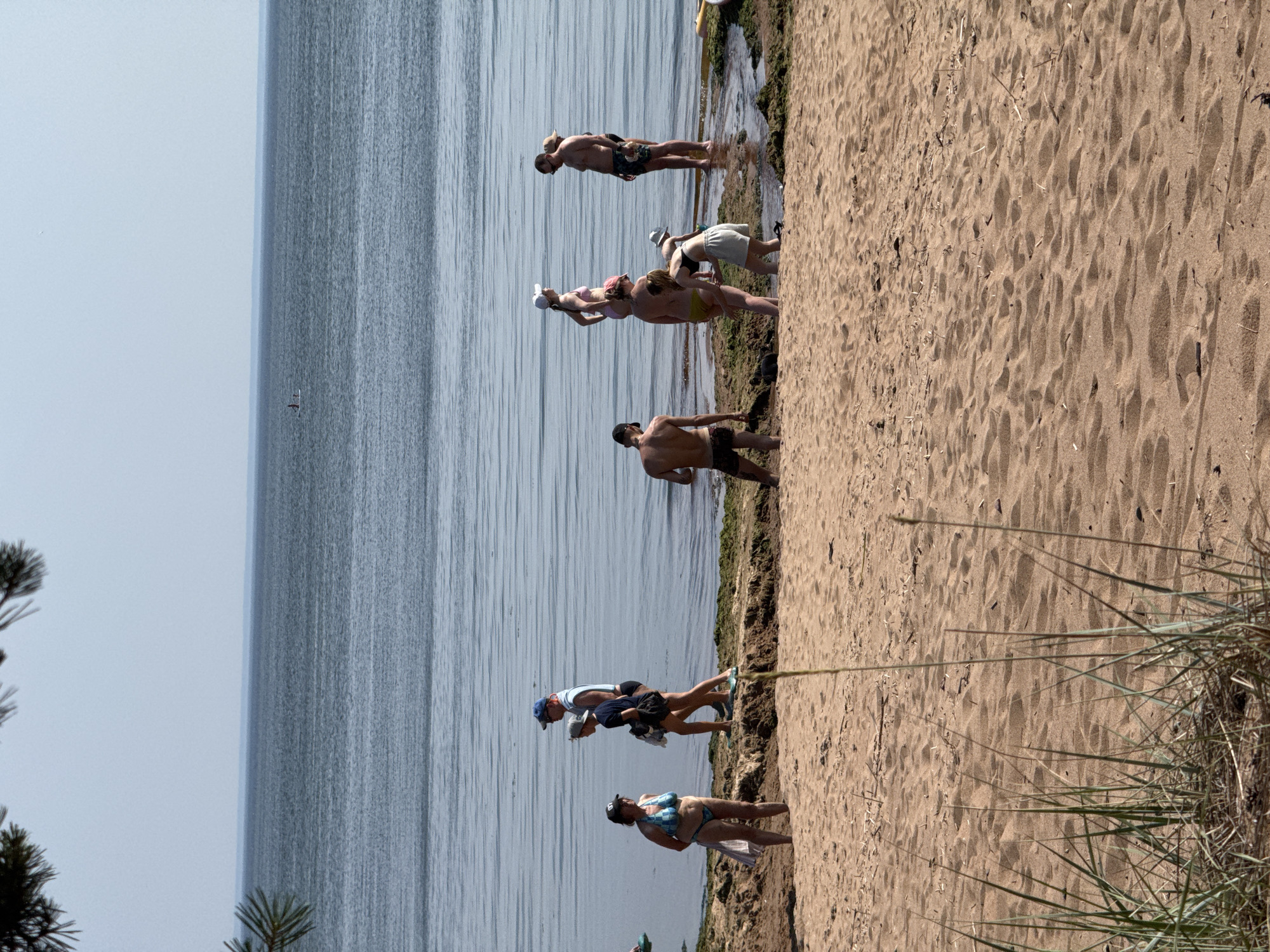 The image captures a beach scene in Zelenaya Roshcha, Russia. The foreground is dominated by sandy beach, with some sparse dry grass and debris scattered on the sand. In the mid-ground, a group of people are visible near the water's edge. Some are standing on the sandy shore, while others are on a rocky, algae-covered outcrop partially submerged in the calm, blue water. The people are dressed in swimwear, suggesting they are enjoying a day at the beach. Two individuals are on a paddleboard in the distance, on the vast expanse of water that stretches to the horizon. The sky is clear and pale blue, indicating fair weather.