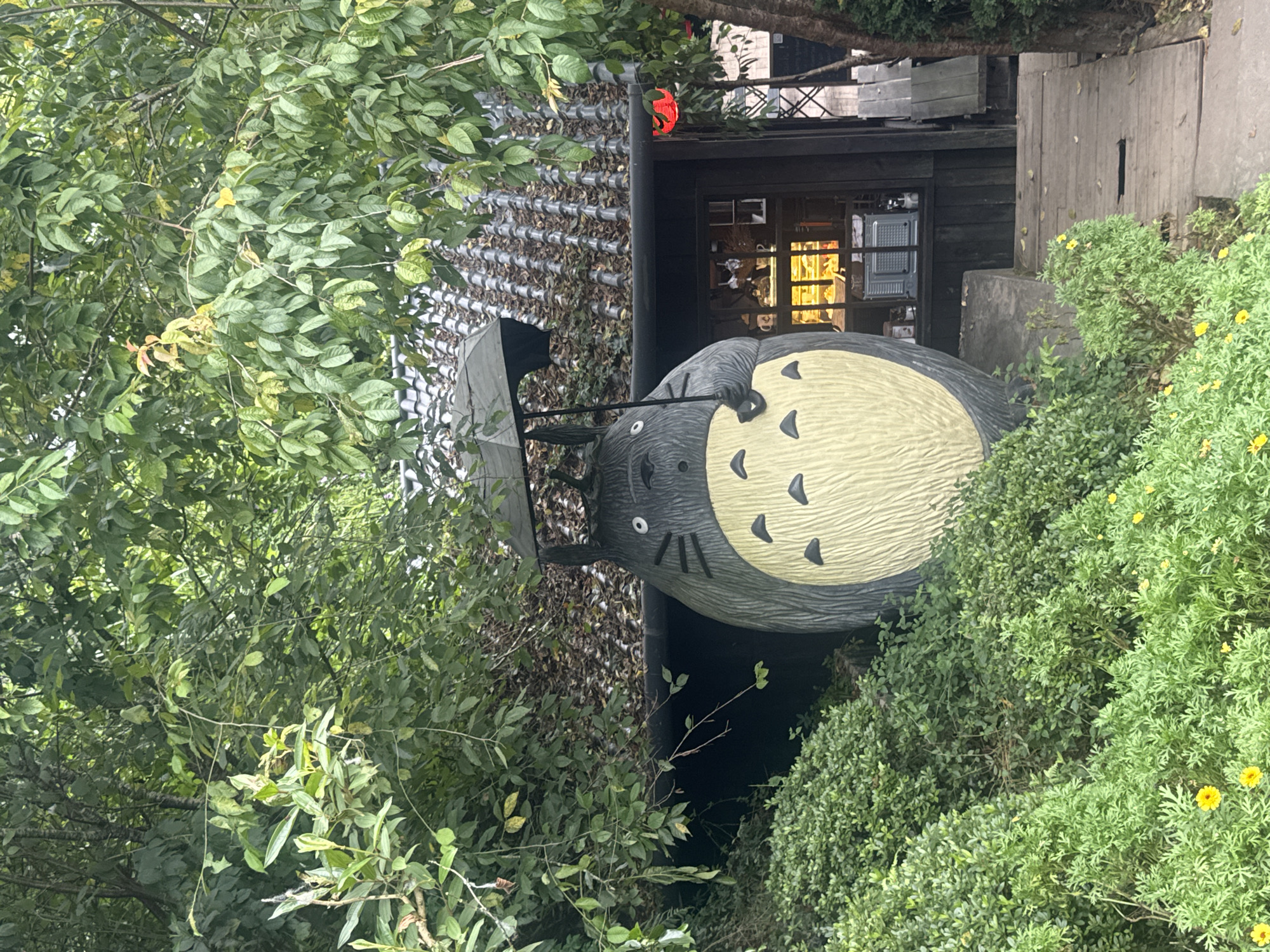 This image depicts a large, dark gray statue of Totoro, a character from the animated film "My Neighbor Totoro," standing outdoors. Totoro is holding a black umbrella over its head and has a light yellow belly with several black markings. The statue is positioned in front of a building with a dark tiled roof and wooden siding. A window on the building reveals a display of food items inside, and a red lantern is visible to the right of the window. The area is surrounded by lush green foliage, including bushes and trees, and a wooden walkway leads towards the building. Small yellow flowers are scattered among the greenery in the foreground. The scene is set in the city of Cam Ly - Đà Lạt, Vietnam. There are no people visible in the image.