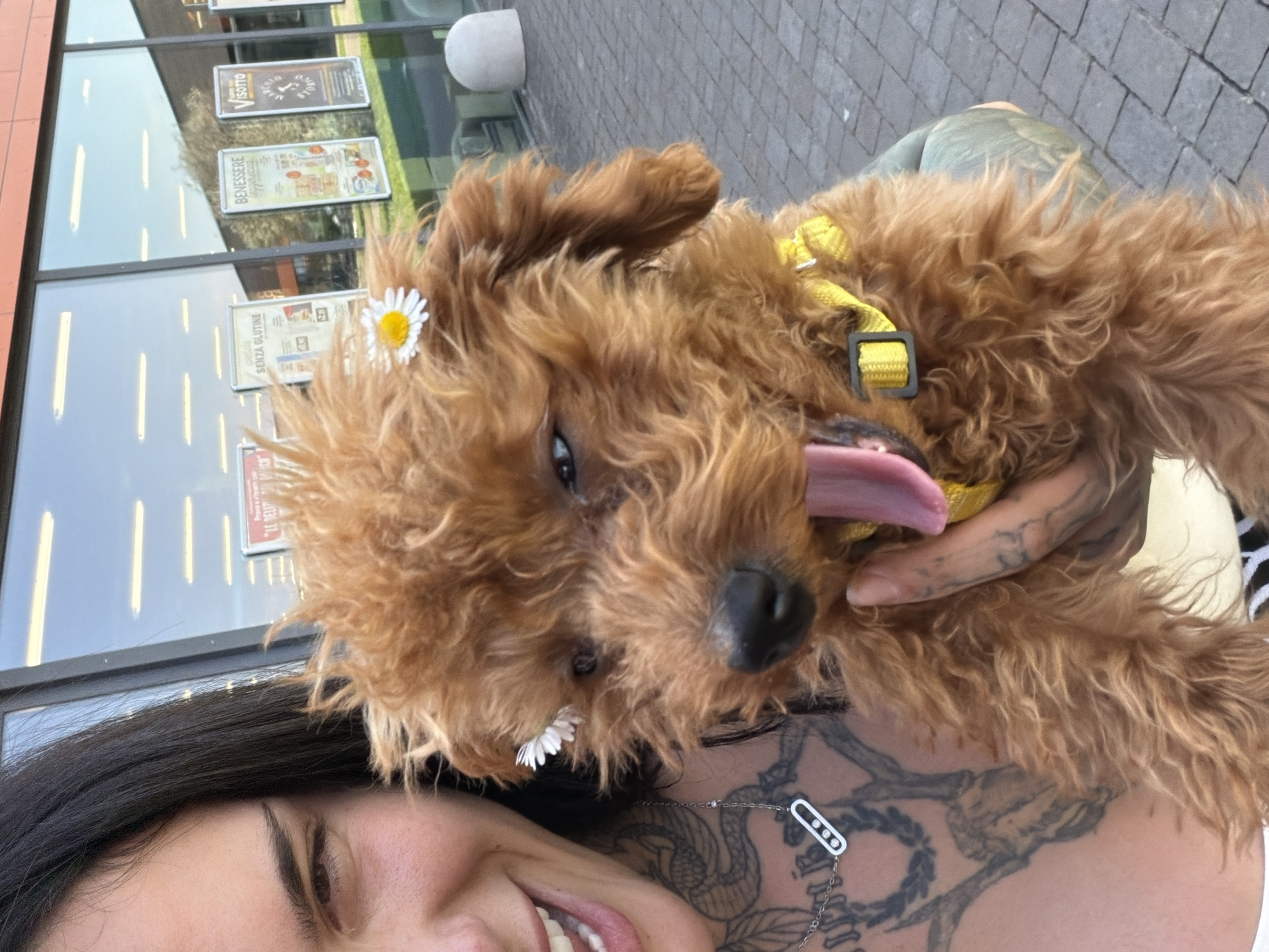 The image shows a woman holding a brown poodle-mix dog in her arms, posing for a selfie. The dog has white daisy flowers stuck in its fur. The dog is wearing a yellow collar and its tongue is sticking out. The woman has dark hair and visible tattoos on her chest and neck, and is wearing a silver necklace with a rectangular pendant. They appear to be standing outside a building with large glass windows that have promotional posters inside. The background is a paved area. The location is likely near a commercial establishment with advertisements visible in the windows, possibly a supermarket or retail store in Cervignano del Friuli / Çarvignan, Italy.
