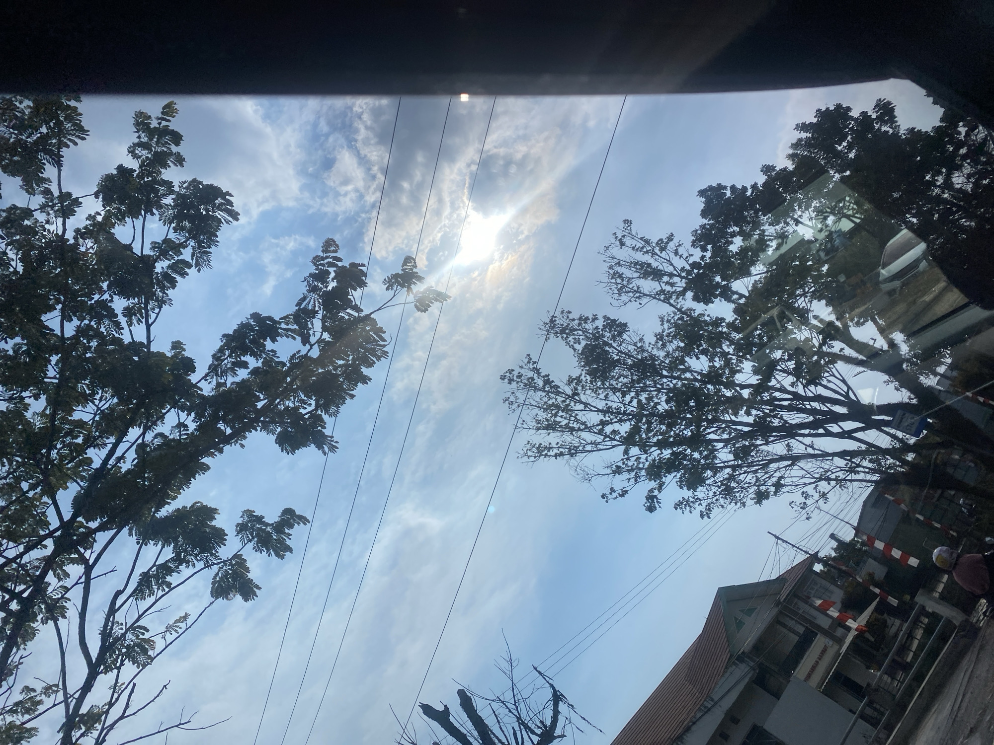 The image captures a view of Gambut Barat, Indonesia, looking upwards through a window. Silhouetted against a bright, partially cloudy sky, trees with lush foliage dominate the foreground. Several power lines crisscross the sky. In the lower left quadrant, the roof and upper facade of a building are visible. Red and white striped flags, common in Indonesia, are displayed on poles in front of the building. A person on a motorcycle, wearing a helmet, is partially visible on the road below. The sun is shining brightly through a break in the clouds, creating a lens flare effect. The overall impression is a snapshot of an urban landscape on a sunny day, seen from a unique, upward-angled perspective.