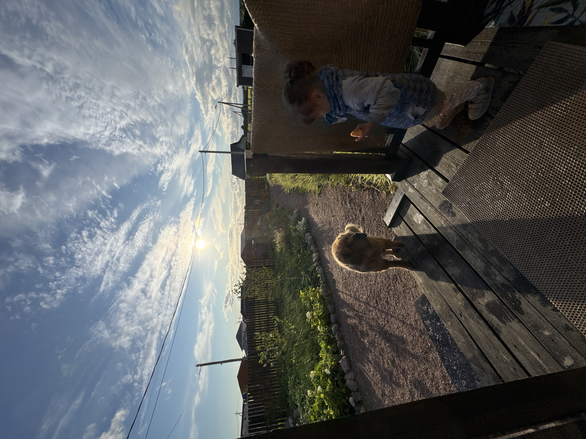 In Kempelevo, Russia, a young girl with her hair pulled up in a bun stands on a wooden porch, holding a piece of orange food. She wears a blue and gray patterned jacket and light-colored pants. Next to her, a fluffy brown dog faces away from the camera, looking towards a dirt path leading into a yard. The yard features a wooden fence, green grass, and several houses in the background. The sun is low in the sky, casting long shadows and illuminating wispy clouds. The scene suggests a peaceful, rural setting.