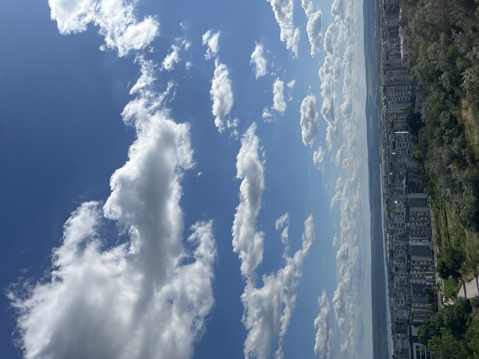 The image depicts a panoramic view of a residential area in Varna, Bulgaria, likely from an elevated vantage point. Dominating the upper portion of the frame is a bright blue sky filled with scattered white cumulus clouds. Below the sky, a sprawling urban landscape unfolds, characterized by numerous apartment buildings with grey facades. These buildings are arranged in dense blocks, suggesting a high-density housing development.
In the foreground, lush green trees and vegetation cover the rolling hills, providing a natural contrast to the urban structures. A dirt road or path winds its way through the greenery. In the distance, a body of water, likely the Black Sea or a large lake, can be seen, bordered by a hazy horizon of rolling hills and distant landforms. The overall scene suggests a clear, sunny day with good visibility. There are no people or animals visible in the image. The architecture of the apartment buildings appears to be typical of Soviet-era or post-Soviet developments, common in many Eastern European cities. The presence of a large body of water and the topography suggest a location on the outskirts of Varna, possibly overlooking the sea or a large estuary.
