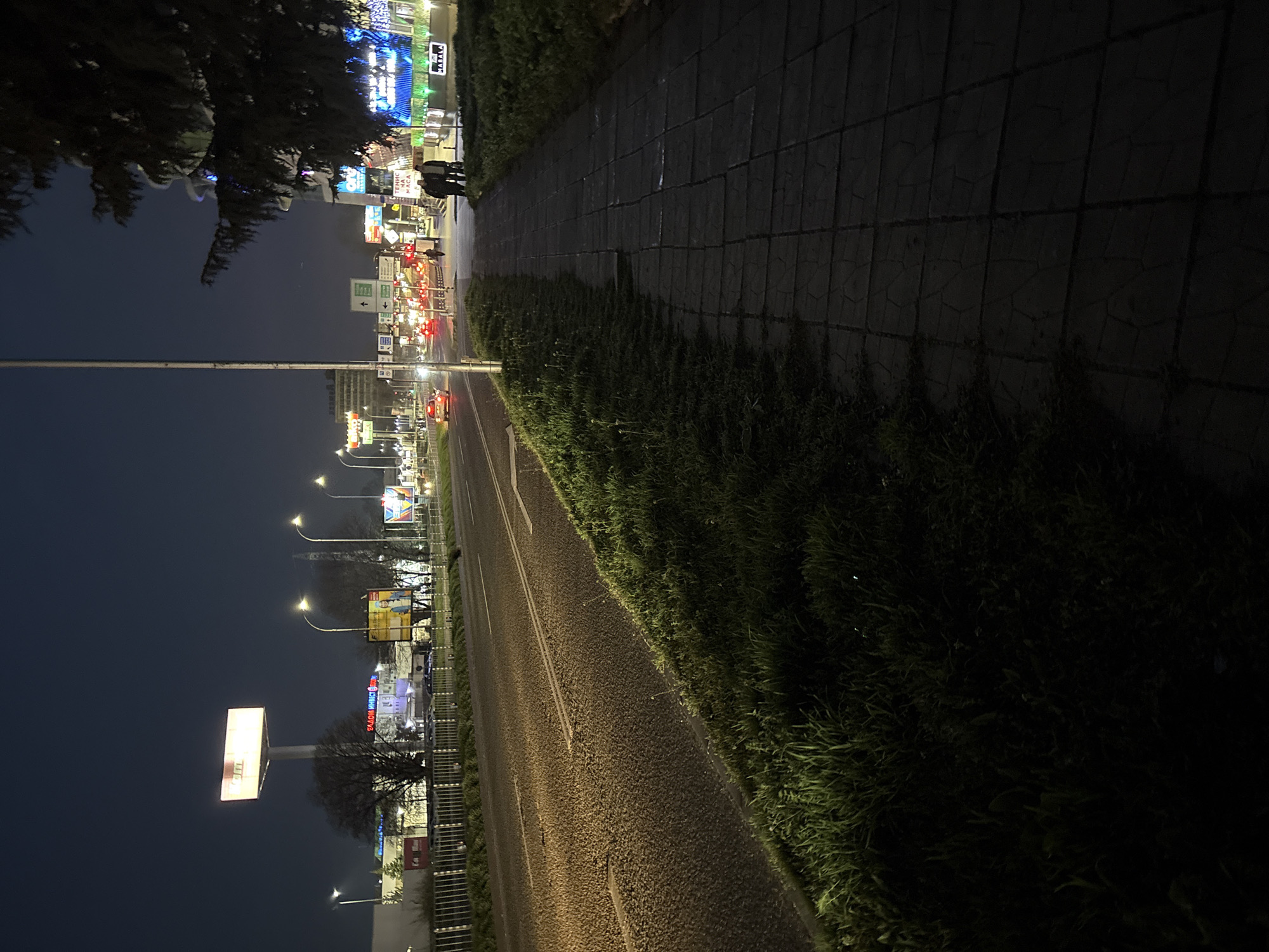 The image shows a nighttime street scene in Varna, Bulgaria. A road stretches into the distance, flanked by grassy verges and a paved sidewalk on the right. Streetlights illuminate the road and surrounding areas. On the left side of the road, there are several illuminated billboards and buildings. Car headlights and taillights are visible, indicating traffic. Two pedestrians are walking on the sidewalk in the distance. The sky is dark.