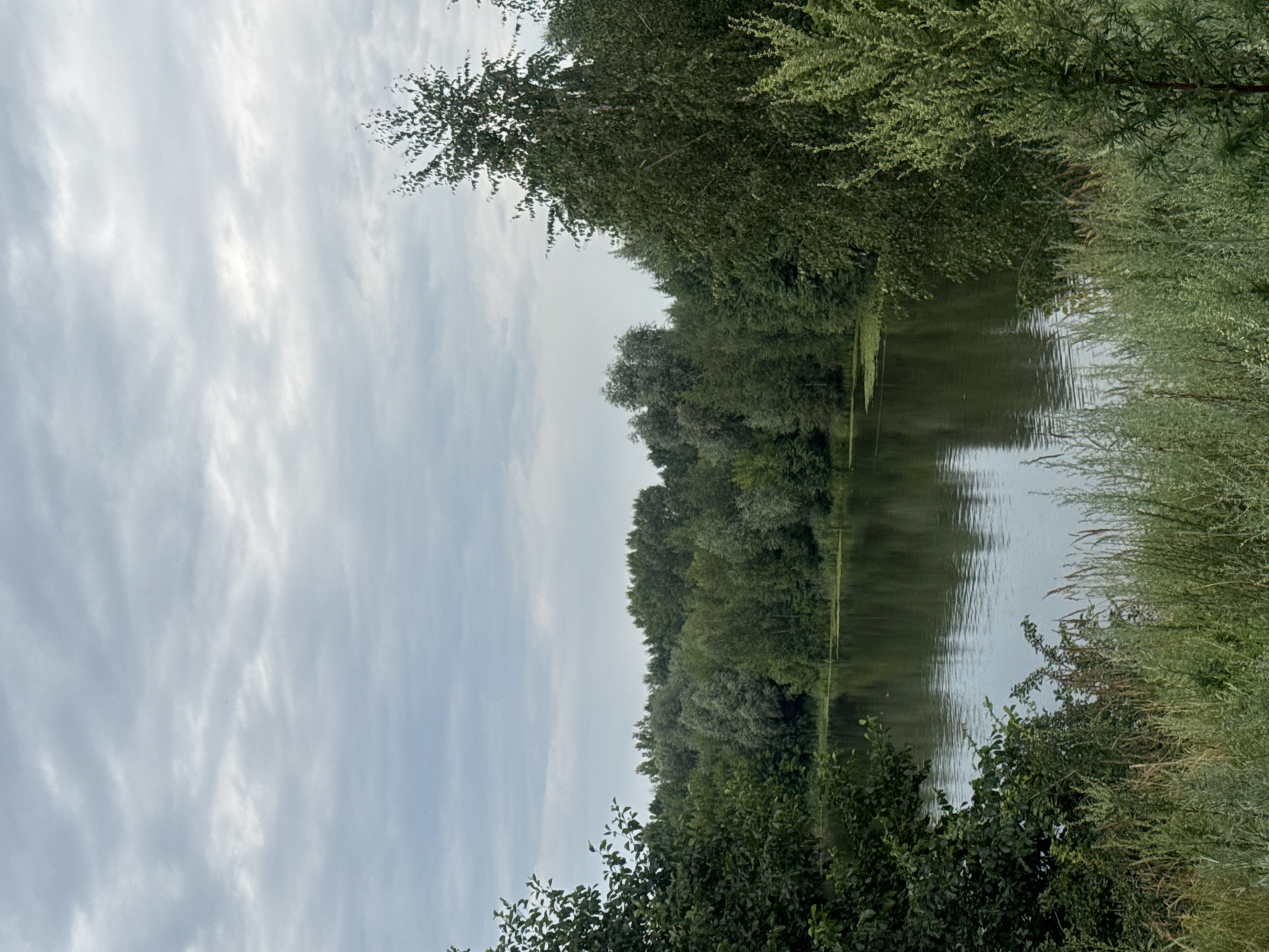 The image depicts a serene natural landscape with a calm body of water reflecting the overcast sky and surrounding greenery. Lush trees form a dense line along the opposite bank of the water, their foliage creating a rich tapestry of green hues. In the foreground, tall grasses and some leafy plants add texture to the scene, partially obscuring the lower edge of the water. The sky is filled with soft, grey clouds, suggesting a peaceful, perhaps slightly humid, atmosphere. There are no people, animals, or man-made structures visible, making it a purely natural vista. This scene is reminiscent of the natural areas found in the vicinity of Nizhny Novgorod, Russia, such as the numerous parks and riverbanks along the Volga River, where such tranquil, wooded waterfronts are common.