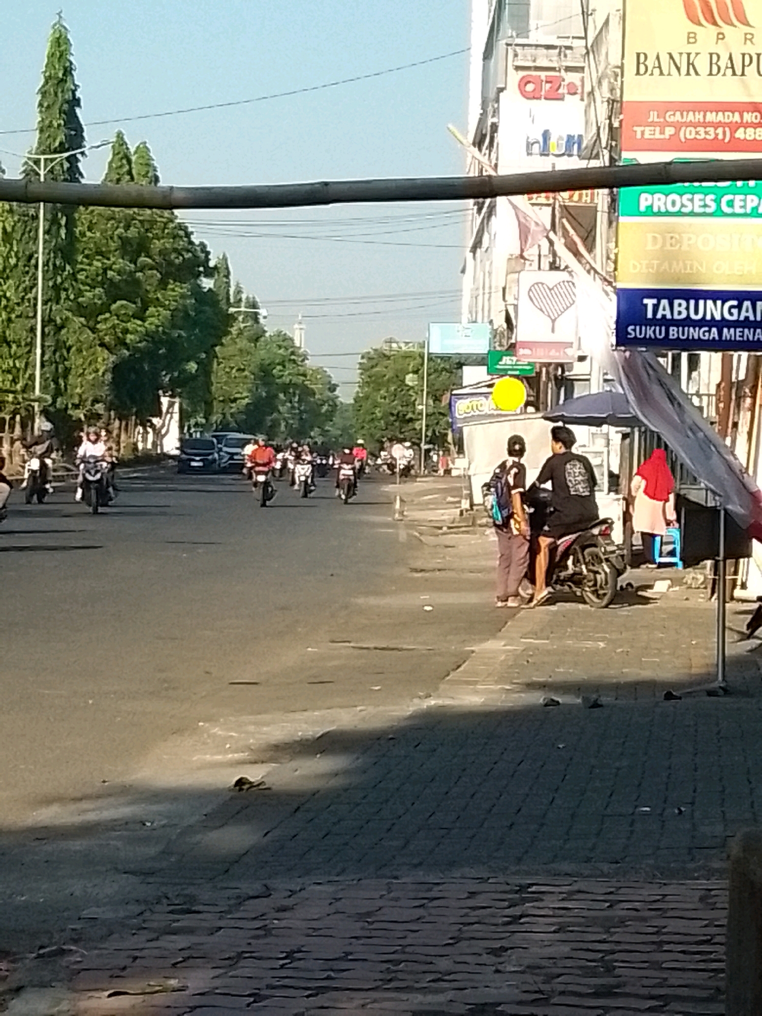 The image depicts a street scene in Jember, Indonesia, likely during daytime. The foreground is dominated by a paved walkway constructed of dark rectangular stones. Beyond the walkway is a two-lane asphalt road with several motorcycles and a few cars.
On the left side of the road, there is a line of trees, mostly tall and slender, with a few shorter ones interspersed. The right side of the road features a sidewalk and several buildings. One building has prominent signage, including "BPR BANK BAPU," "JL. GAJAH MADA NO. 3," and "PROSES CEPA." Another sign reads "TABUNGAN SUKU BUNGA MENA."
Several people are visible. In the foreground on the right, two young men are standing next to a parked motorcycle. One is wearing a black t-shirt with a graphic print and the other is wearing a patterned shirt and brown pants. A woman in a red hijab is walking away from them. Further down the road, multiple individuals are riding motorcycles, some singly and some in pairs.
The overall atmosphere suggests a busy urban environment with everyday activities taking place. The sky is clear and a light blue, indicating fair weather.