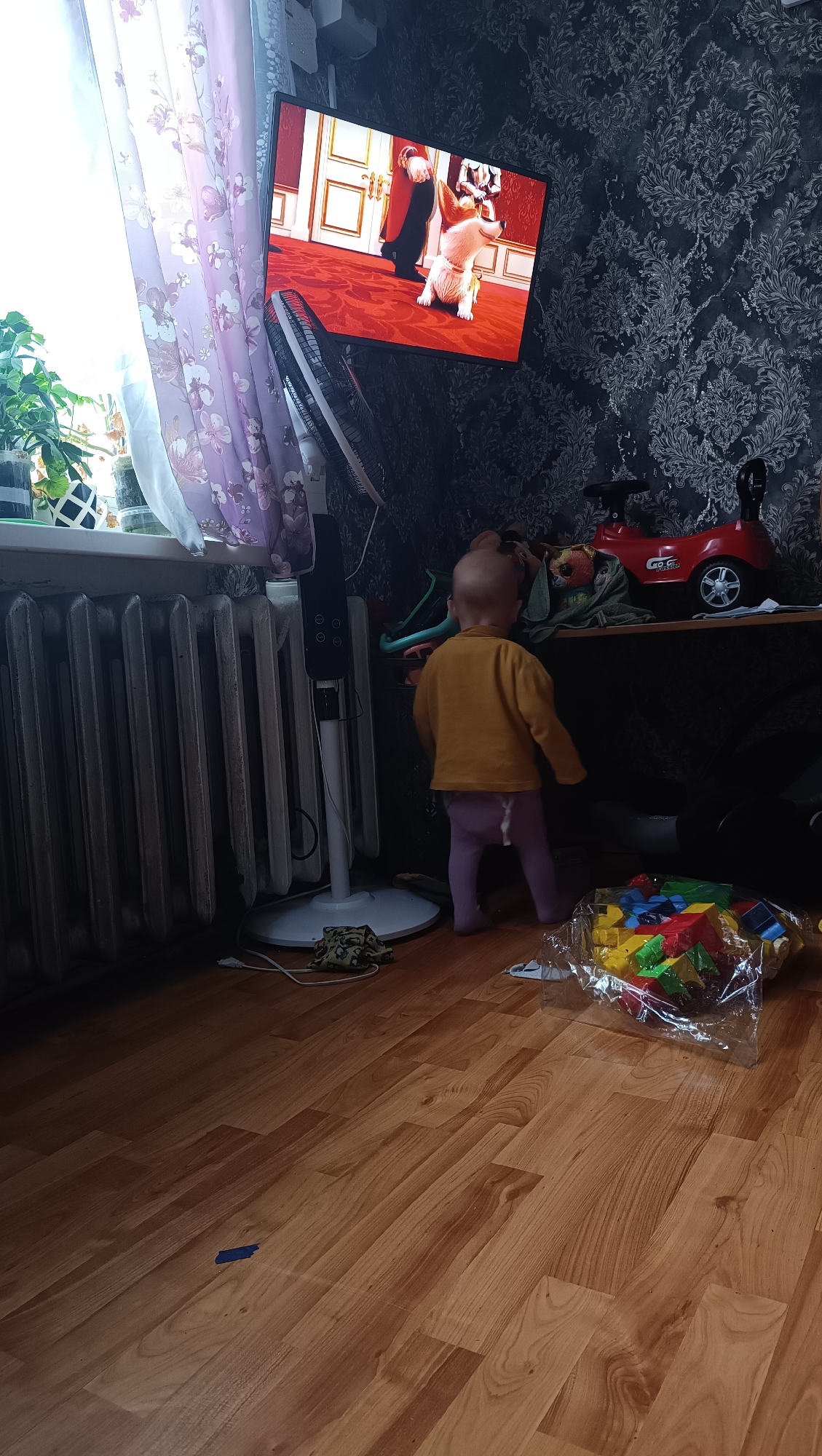 The image depicts an indoor scene, likely a residential room. A young child, viewed from behind, is standing on a wooden floor wearing a yellow long-sleeved shirt and purple leggings. In front of the child, a plastic bag filled with colorful building blocks is spread on the floor. To the left of the child, a white standing fan is positioned next to a grey radiator. Beyond the fan and radiator, a window with purple floral curtains is visible, with houseplants on the windowsill. On the wall to the right of the fan, a television screen displays a cartoon image of a white dog. Further to the right, a red toy car is placed on a shelf above a dark surface. The wall is adorned with dark patterned wallpaper. The overall environment suggests a domestic setting with toys and entertainment devices. There is no indication of the location being in the city of Karsha, Russia, as the image does not contain any specific geographic markers.