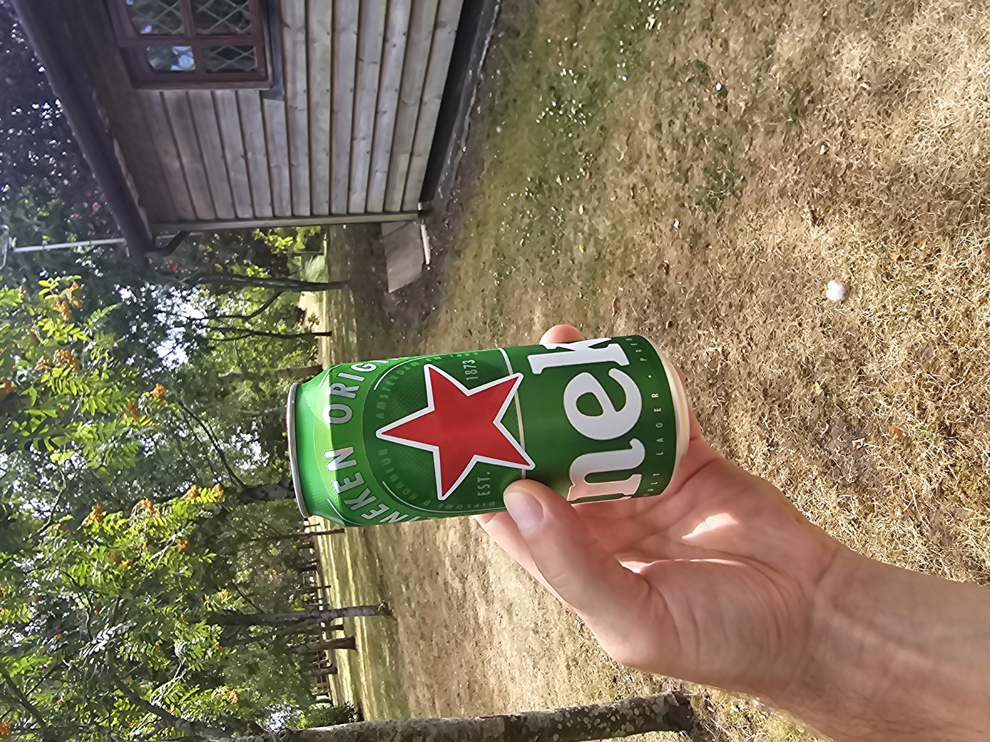 An outdoor, daytime, eye-level medium shot shows a person's hand holding a can of Heineken beer. The can is green with a red star and white lettering. The background features a dry, grassy lawn with scattered small white flowers, several trees with green foliage, and a wooden shed with a diamond-patterned window. The scene is likely in a rural or semi-rural setting, possibly a garden or park in Breckland District, United Kingdom. The lighting suggests a sunny day.
