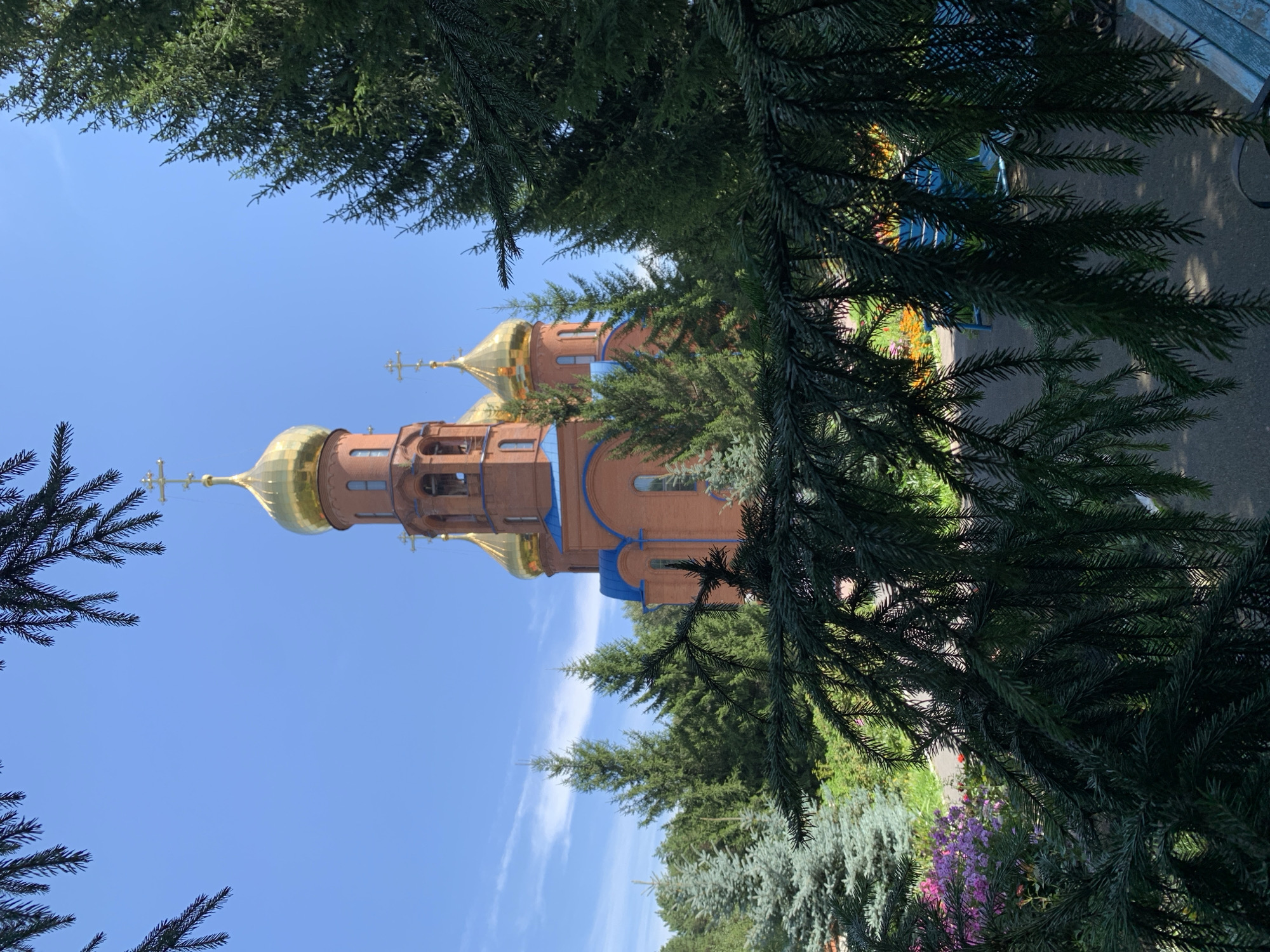The image shows the Church of the Resurrection of Christ in Prokopyevsk, Russia. The church is made of red brick with gold domes and a blue roof. It is surrounded by trees and greenery, with a clear blue sky in the background. In the foreground, the branches of a coniferous tree partially obscure the view of the church. The church is a prominent religious building in the city, likely a significant landmark. The scene appears to be a sunny day, suggesting pleasant weather. No people are visible in the image.