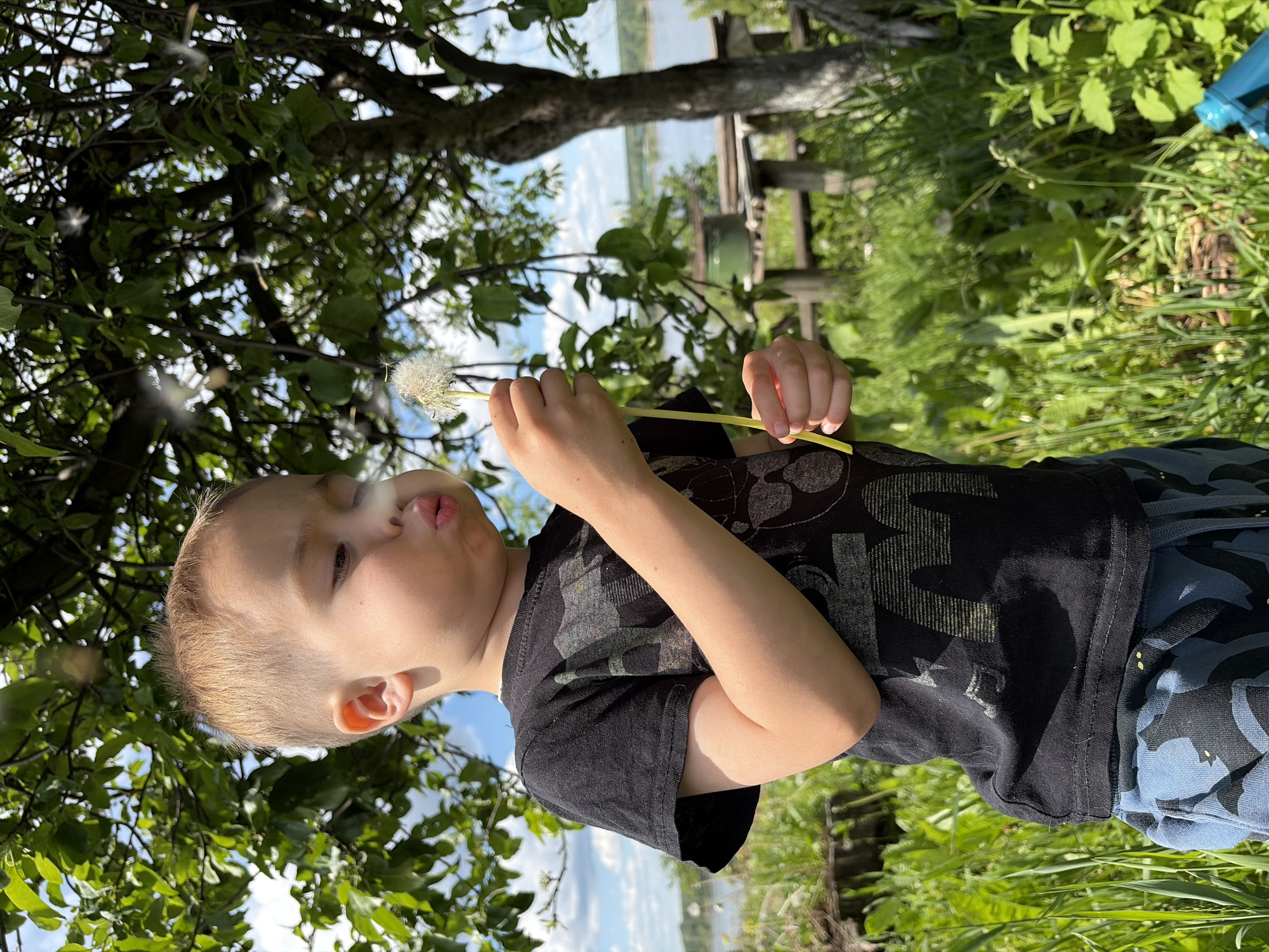 A young child, likely a boy, is captured in a close-up outdoor shot, actively blowing a dandelion puffball. The child has light brown hair and fair skin, with a focused expression as his lips are pursed to release the dandelion seeds. He is wearing a black t-shirt with an abstract light-colored design, which appears to include shapes or letters such as an "M" and star-like symbols, and blue camouflage-patterned shorts. His small hands are holding the dandelion stem firmly.
Numerous white dandelion seeds are visible scattering in the air around him, having just been blown from the puffball. The setting is a vibrant natural environment with lush green foliage from trees and grass forming the background. Through the branches, a body of water, possibly a lake or river, can be seen under a bright blue sky with some clouds. A distant wooden structure, perhaps a fence or bench, is also faintly visible on the far bank or shore. The scene suggests a sunny daytime, evoking a moment of childhood play and wonder in a natural, serene environment. The location context provided is Ольховка, Russia.