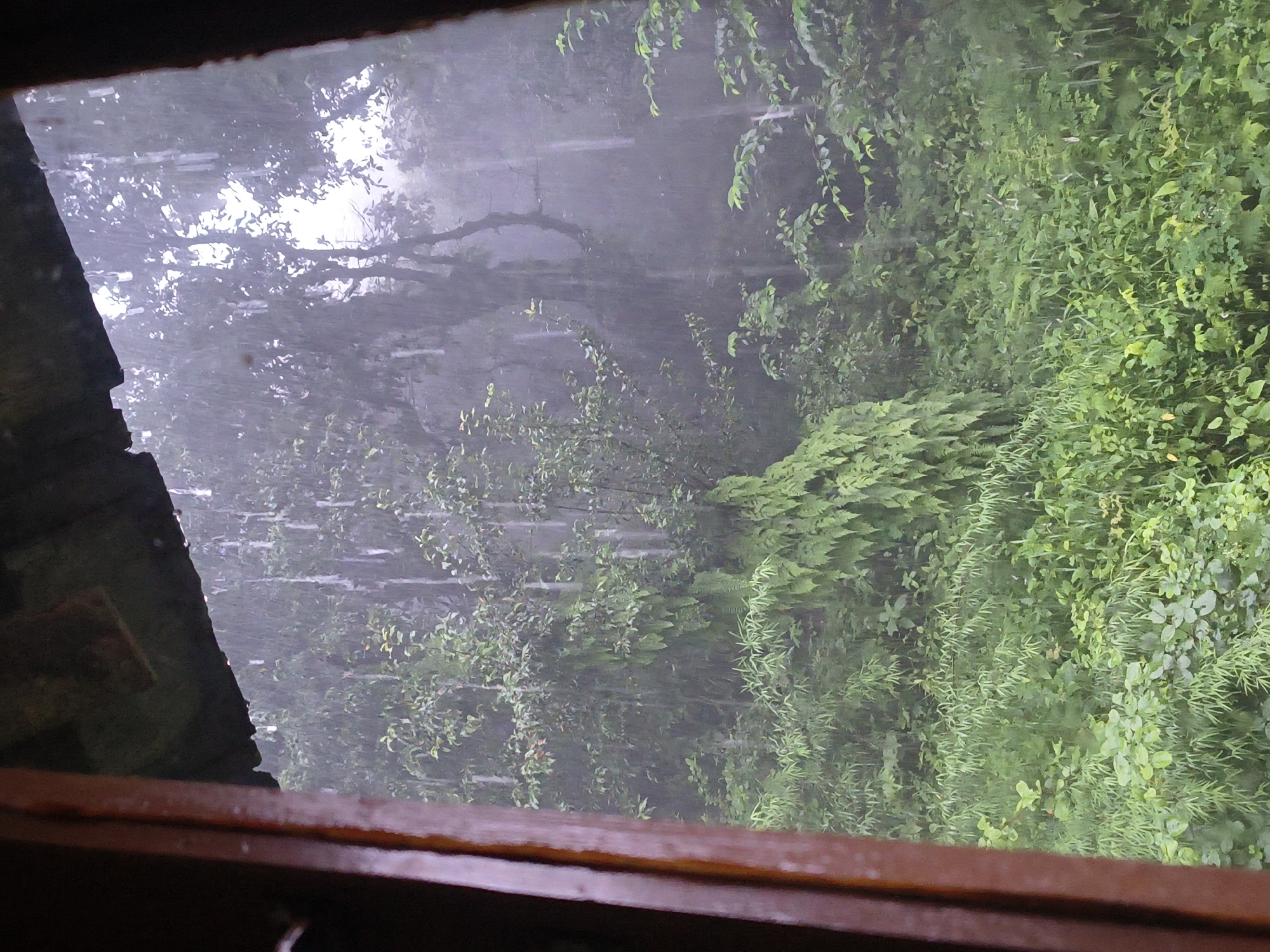 The image depicts a view from an indoor space, looking out through a wooden frame at a rain-soaked forest. Vertical streaks of rain are visible against a dense backdrop of lush green foliage, including trees and undergrowth. The overall atmosphere is muted and hazy, characteristic of heavy rainfall. The location is identified as Haini, India. No people or specific objects other than the natural elements and the framing structure are discernible. The scene captures a moment of natural weather in a tropical or subtropical environment.