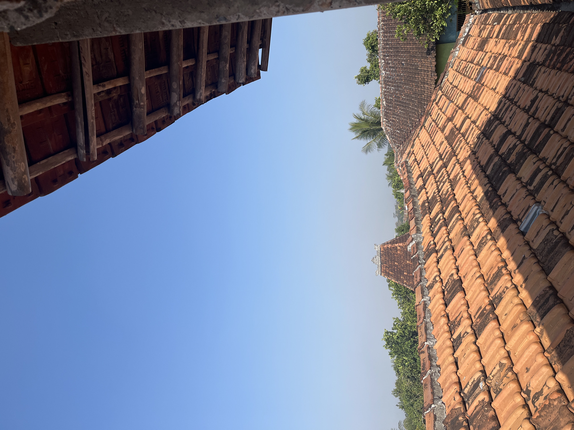 The image captures a rooftop view overlooking a cluster of traditional houses in Glagah Kulon, Indonesia. The foreground is dominated by a steeply pitched roof covered in weathered terracotta tiles, their orange hue contrasting with patches of dark discoloration. Shadows from an unseen structure fall across these tiles. Beyond this, a second, older roof with a more muted tile color is visible, featuring an ornate, multi-tiered architectural element at its peak, possibly a decorative finial. Surrounding the buildings is a dense canopy of lush green trees, including palm trees, suggesting a tropical or subtropical environment. The sky above is a clear, bright blue, indicating fair weather. In the far distance, a hazy outline of hills or mountains can be discerned. The overall impression is one of a rural or semi-rural setting characterized by traditional Indonesian architecture and abundant vegetation.
