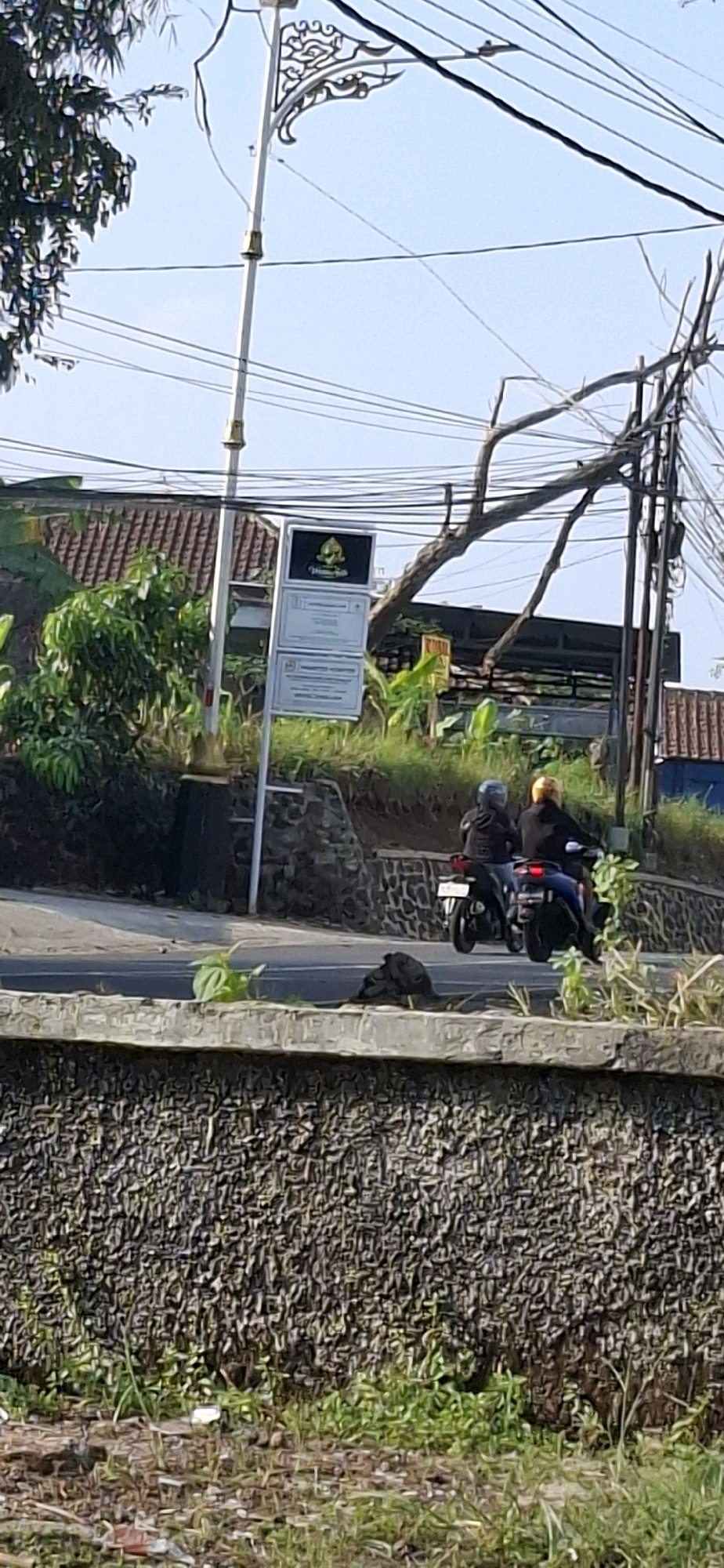 In Cilaku, Indonesia, a street scene unfolds under a clear sky with power lines crisscrossing overhead. In the foreground, a textured stone wall runs horizontally, partially obscured by green foliage. Behind this wall, a paved road is visible, with two individuals on a motorcycle riding away from the viewer. The person in the front is wearing a black jacket and helmet, while the passenger behind them has a yellow helmet and appears to be wearing a black jacket and blue jeans. To the left of the road, a white pole stands tall, adorned with ornate black metalwork at its top, and a sign is mounted on it, featuring a green emblem and text. Beyond the road, more green vegetation, including banana-like leaves, grows against a backdrop of buildings with patterned roofs and wooden structures. The overall impression is a rural or semi-urban environment on a bright, sunny day.