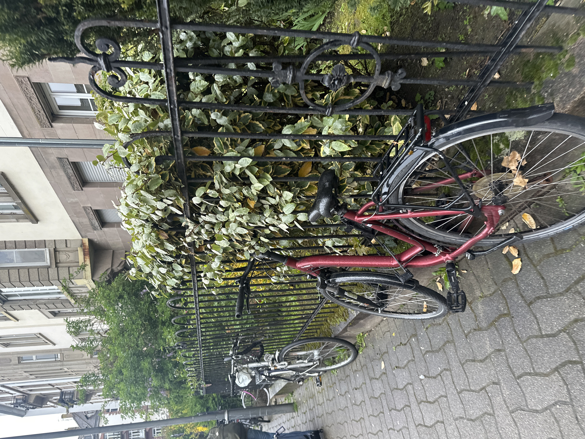 The image depicts two bicycles chained to a black iron fence in Strasbourg, France. The fence is adjacent to a building with stone facades and windows. A red bicycle is leaning against the fence, partially obscured by greenery. A silver bicycle is chained to the fence in front of the red one. The ground is paved with cobblestones, which appear wet. In the background, there are other bicycles and trees. Some persons, dressed in casual clothing, can be seen in the lower part of the image.