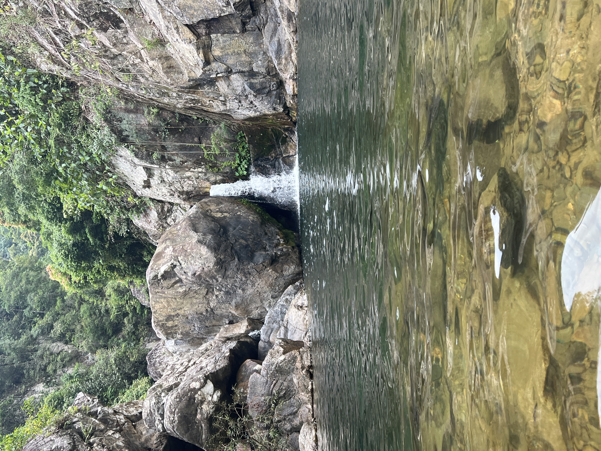 This image depicts a natural scene featuring a waterfall cascading into a clear, rocky pool. The water in the foreground is shallow, revealing submerged rocks and pebbles, and becomes a deeper green as it extends towards the waterfall. The waterfall itself is small, falling from a rocky overhang covered in lush green vegetation. Surrounding the pool are large, moss-covered rocks and steep, rocky cliffs. The upper reaches of the cliffs are densely covered in trees and foliage. The scene is one of untouched natural beauty. While the image shows a natural setting, there is no indication of it being located within the city of Đà Nẵng, Vietnam. The image contains no people or animals.