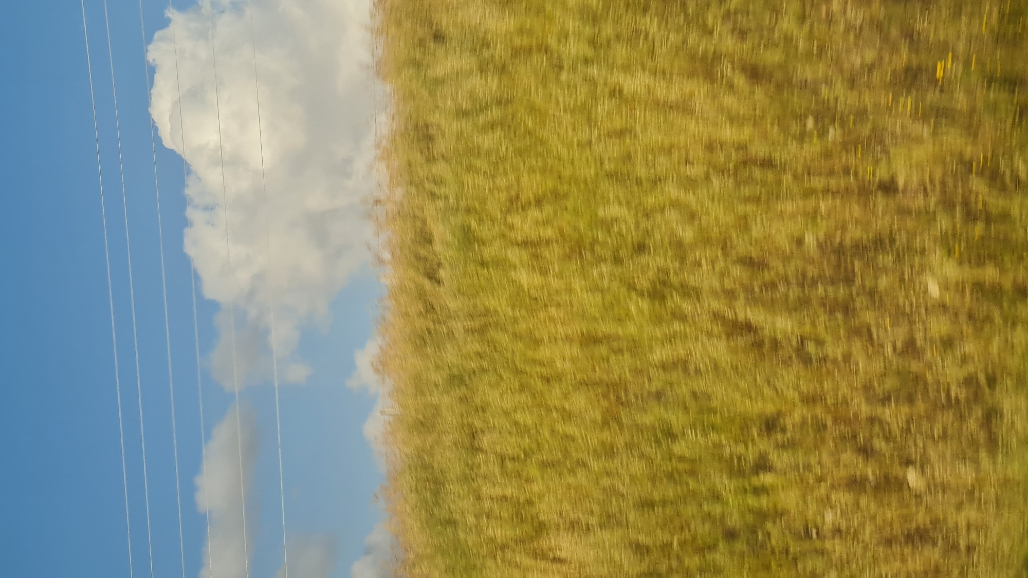 A blurred, horizontally-oriented image depicts a rural scene. On the left, a bright blue sky with white clouds is bisected by parallel, vertical utility lines. To the right, a dense field of tall, golden grass stretches across the frame. The blurry nature of the image suggests motion or a moving viewpoint. Without additional information, it's difficult to pinpoint the exact location within the Bnei Shimon Regional Council, Israel. However, the presence of a grassy field and utility lines suggests an agricultural or semi-rural environment.