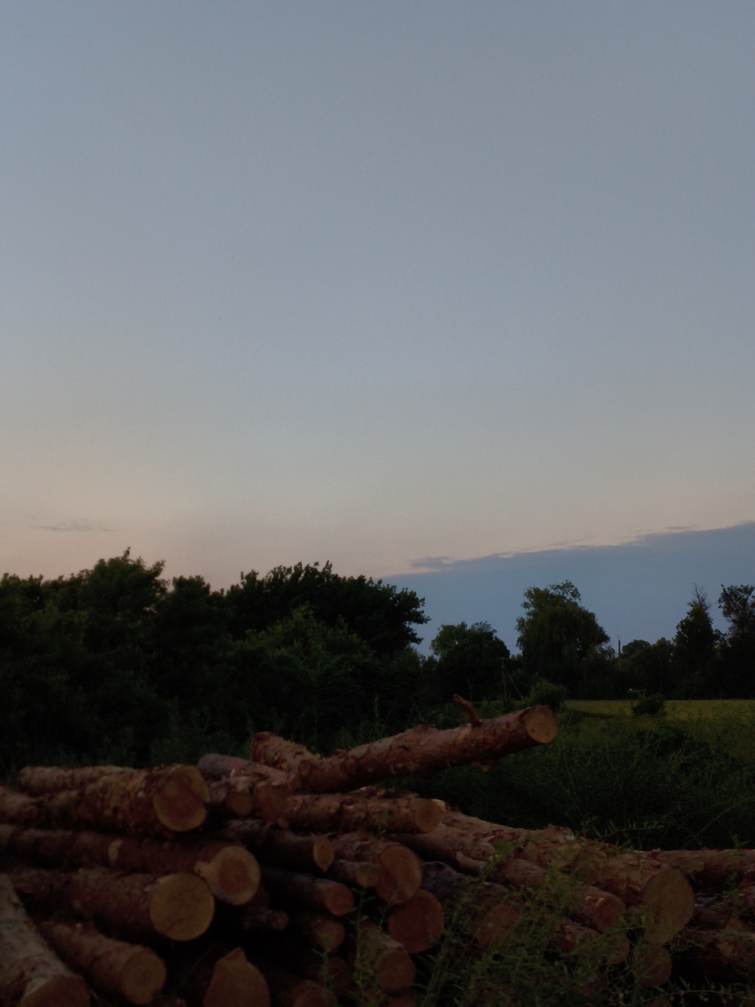 The image depicts a pile of cut logs in a rural outdoor setting in Ustyvytsia, Ukraine. The logs are of various sizes and appear to be recent cuts, with visible bark and wood grain. They are stacked horizontally, creating a rough mound in the foreground. Behind the logs, a dense line of dark green trees forms a treeline, with the tops of the trees reaching up towards the sky. The sky itself is a pale gradient of blue and grey, with a hint of pinkish hue near the horizon, suggesting either dawn or dusk. A few faint clouds are visible in the distance. The overall lighting is dim, consistent with the twilight hours. The scene appears to be a natural landscape, possibly a forest edge or a field bordering woodland, with the activity of logging implied by the presence of the cut timber. There is no visible text in the image, and no people are present. The mood is tranquil and somewhat somber due to the low light and the evidence of deforestation.