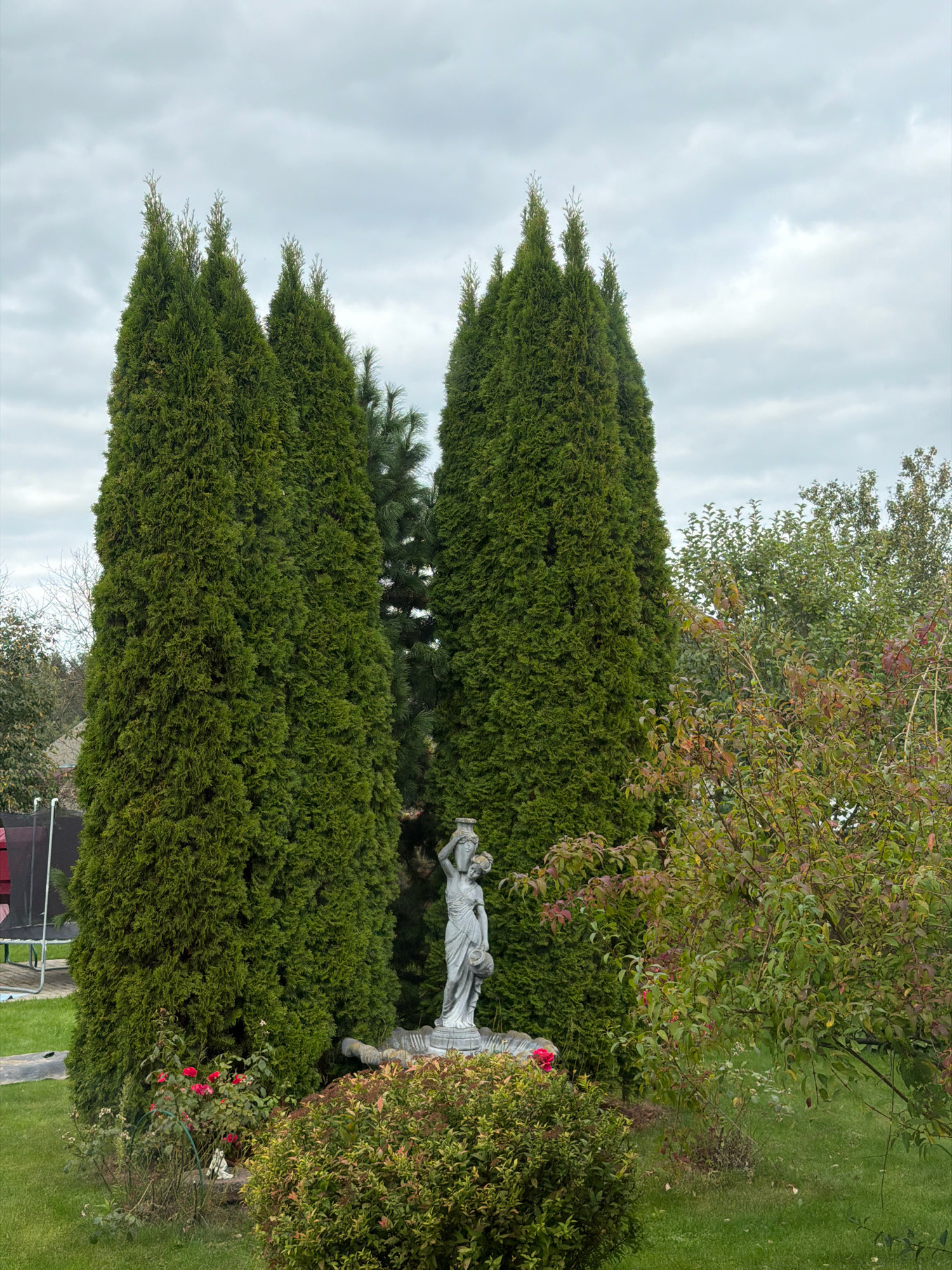 A daytime, eye-level outdoor shot captures a garden scene in Бабініцкі сельскі Савет, Belarus. The focal point is a stone statue of a woman carrying water pots, positioned between two tall, columnar evergreen trees. In front of the statue, a small, bushy green plant is visible. To the right of the statue and trees, a tree with reddish and green leaves stands. A patch of red roses is in front of the left evergreen tree. The ground is covered in green grass, and the sky is overcast with grey clouds. A trampoline can be seen in the far left of the frame.