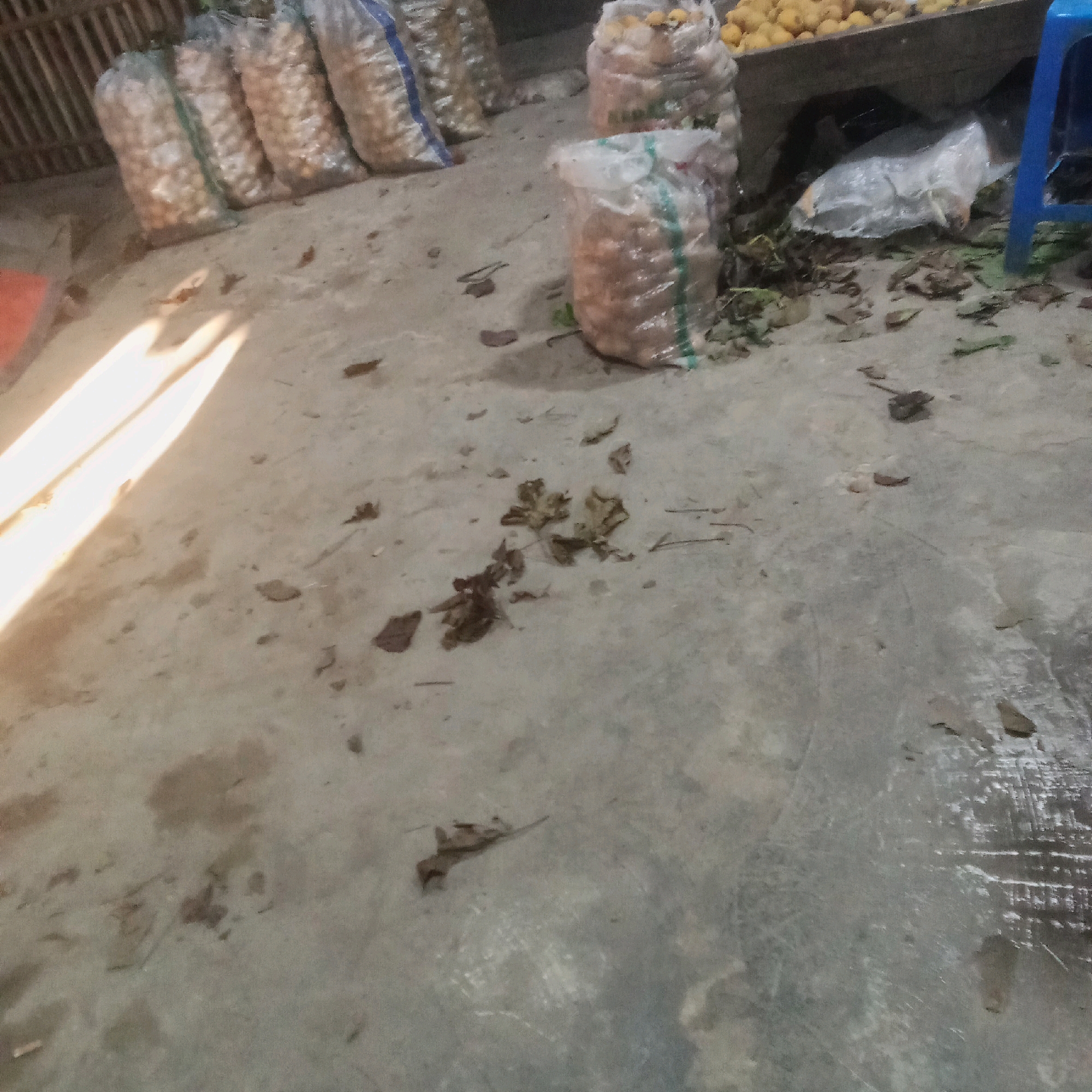 The image depicts the interior of a market or storage area, likely in Karawang, Indonesia. The scene is characterized by a concrete floor with scattered debris, including dried leaves and some unidentifiable dark smudges. In the background, several large, clear plastic bags filled with produce, possibly onions or potatoes, are stacked. To the right, a blue plastic stool and a wooden display shelf holding more produce, appearing to be oranges or similar fruit, are visible. A bright shaft of sunlight enters from the left, illuminating a portion of the floor. There are no people present in the frame.