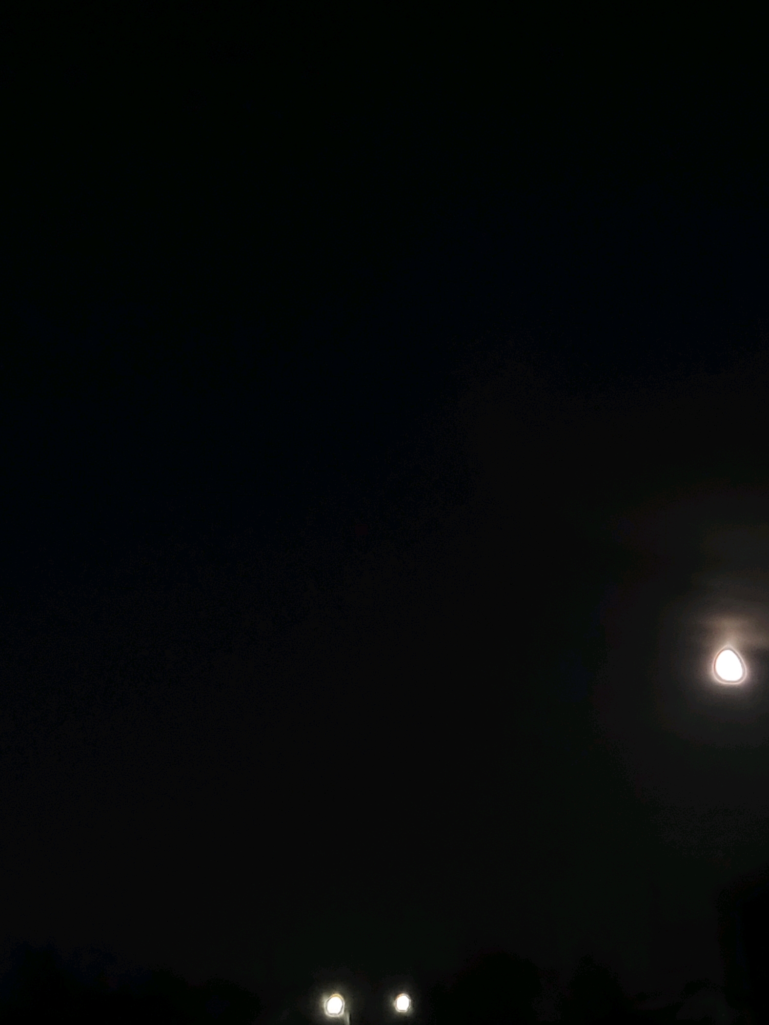 The image depicts a dark night sky over the city of Jelgava, Latvia. The sky is predominantly black with a faint, ethereal glow emanating from the moon, which is positioned in the upper right quadrant of the image. Its shape is somewhat obscured by a halo of light, suggesting it may be partially covered by clouds or atmospheric conditions. In the lower portion of the frame, silhouetted against the dark sky, is the indistinct outline of trees or foliage. Two artificial lights, appearing as bright, circular orbs, are visible in the lower center of the image, suggesting the presence of streetlights or other man-made illumination. The overall scene is nocturnal and serene, with the muted lights offering a stark contrast to the pervasive darkness.