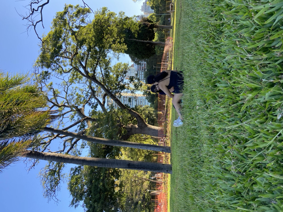 Two figures are in the center of the image, in the midst of green grass. They appear to be embracing or in a playful pose. The background includes tall trees and clear blue sky. Some buildings can be seen. A fence is visible, delineating a boundary. The overall scene is outdoors, bathed in sunlight, and has a peaceful atmosphere.